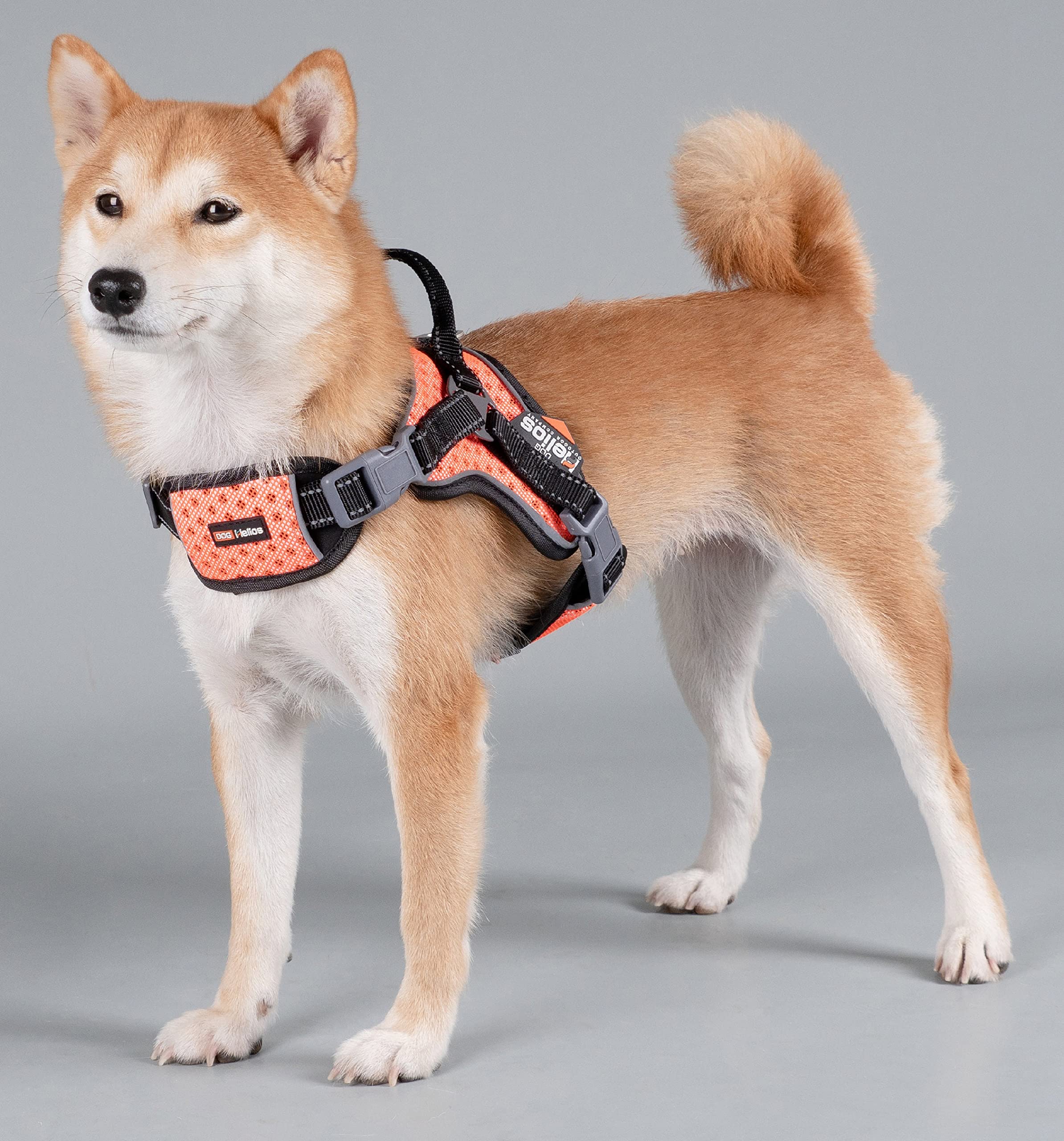 Dog Helios Scorpion Sporty High-Performance Free-Range Dog Harness, SM, Orange