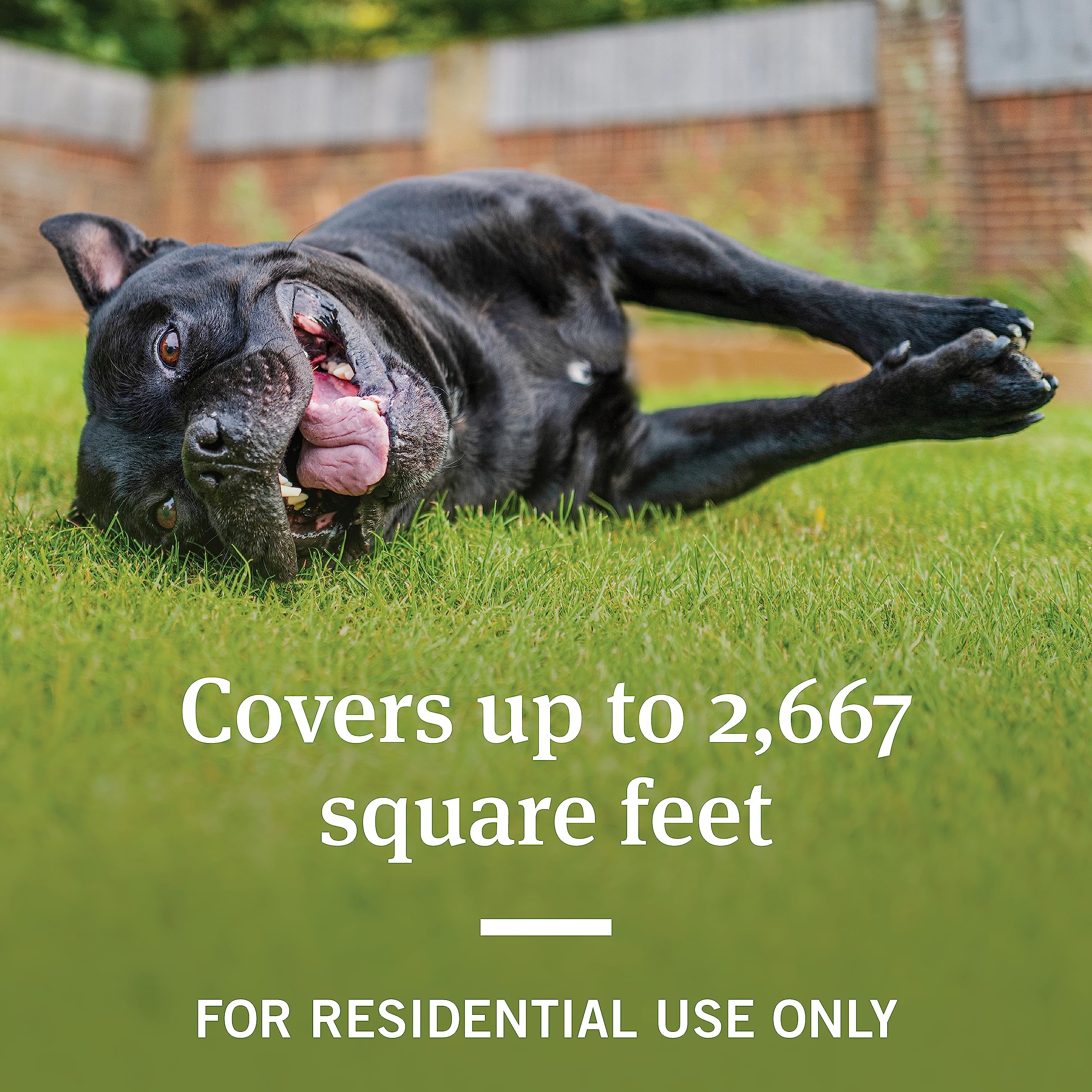 PetArmor Home Yard Spray for Dogs, 32oz - Kills Fleas, Ticks, Mosquitoes & Ants, Clear Formula, Protects Your Home & Pets