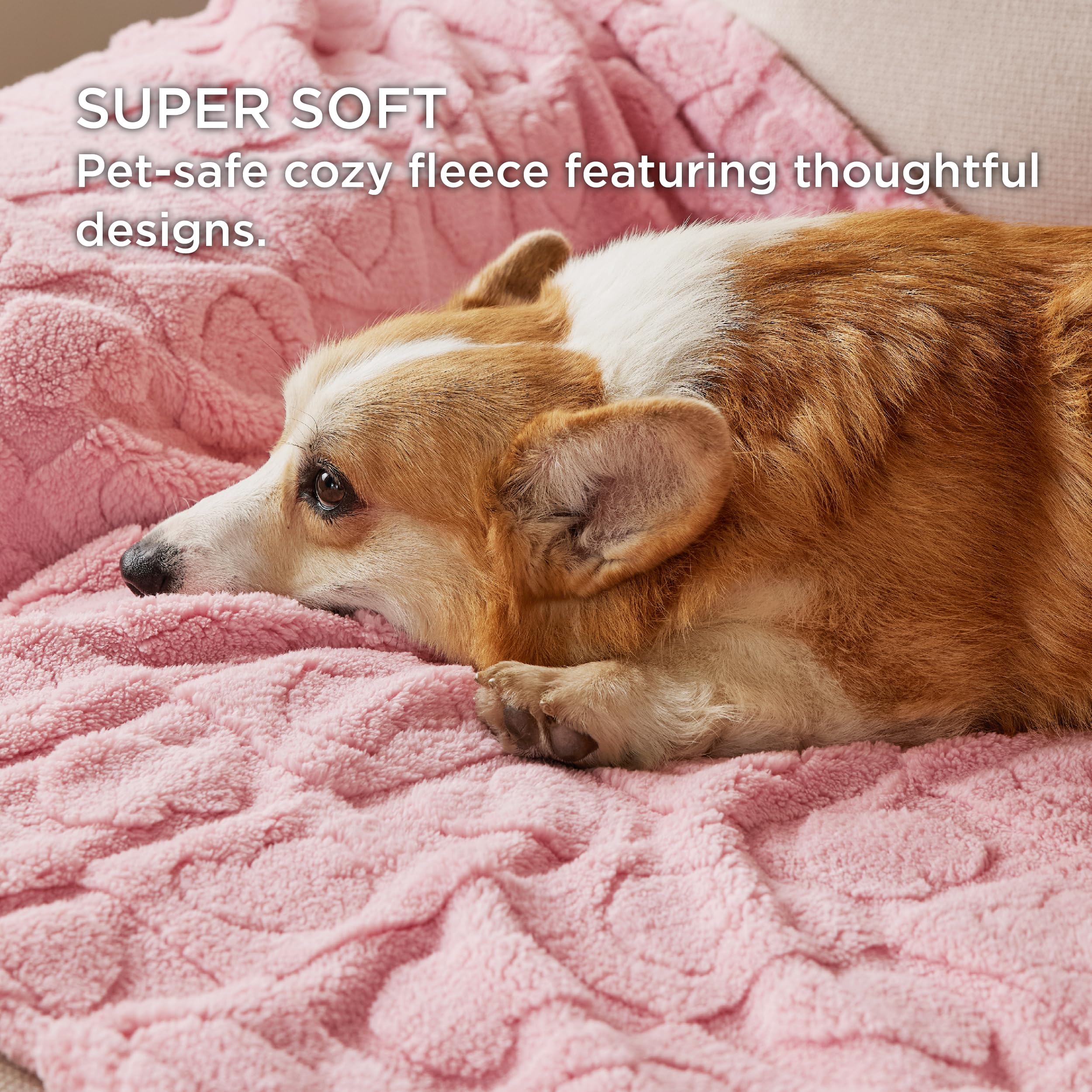 Bedsure Dog Blanket For Medium Dogs Washable - Fluffy Fuzzy Puppy Cat Blanket With Premium 300Gsm Coral Fleece Soft For Pet Kitt
