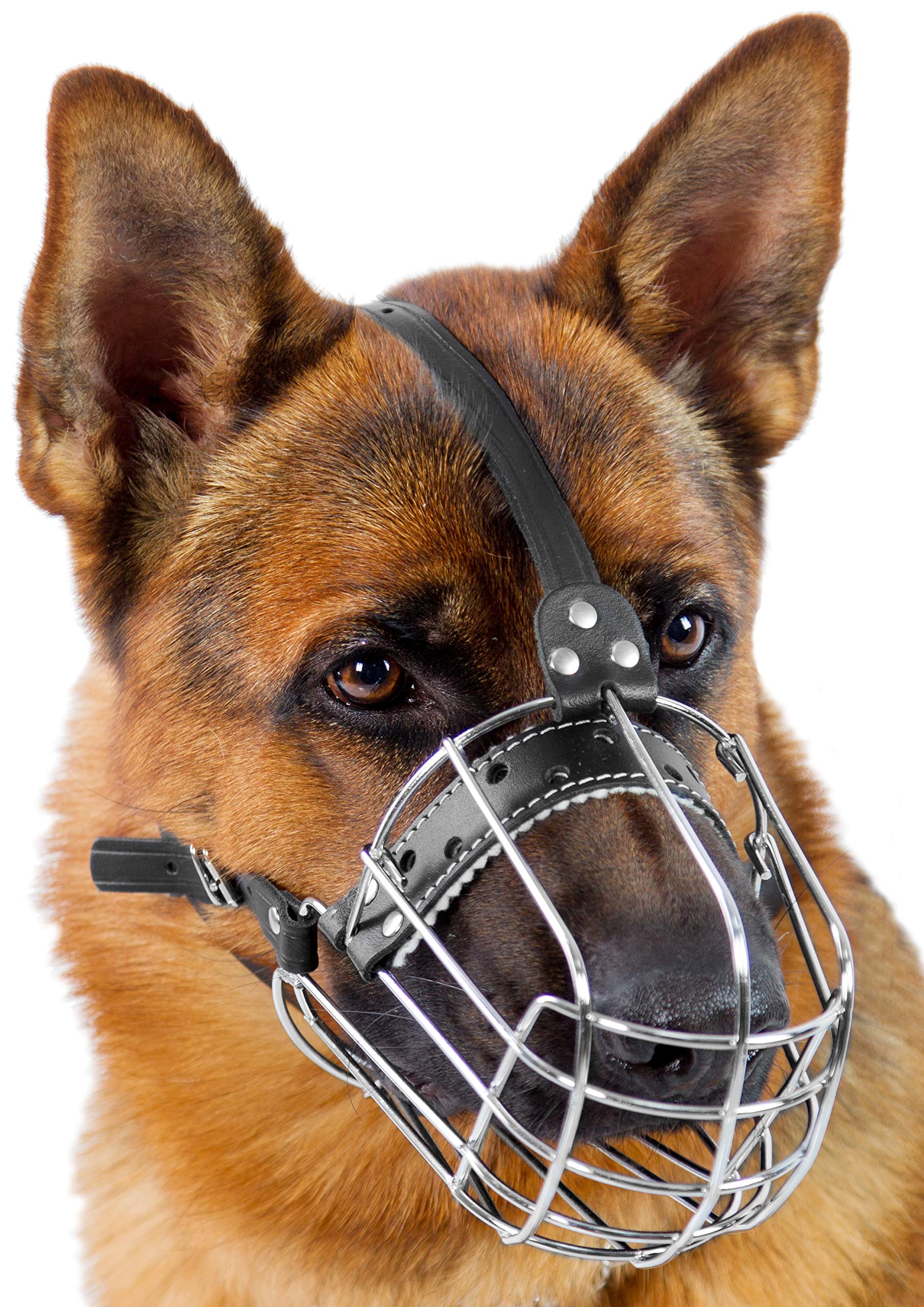 Dog Chrome Metal Muzzles Wire Basket Adjustable Leather Straps (?5+) Circumference Is 12.2-13 In, Length Is 4.7-5.1 In