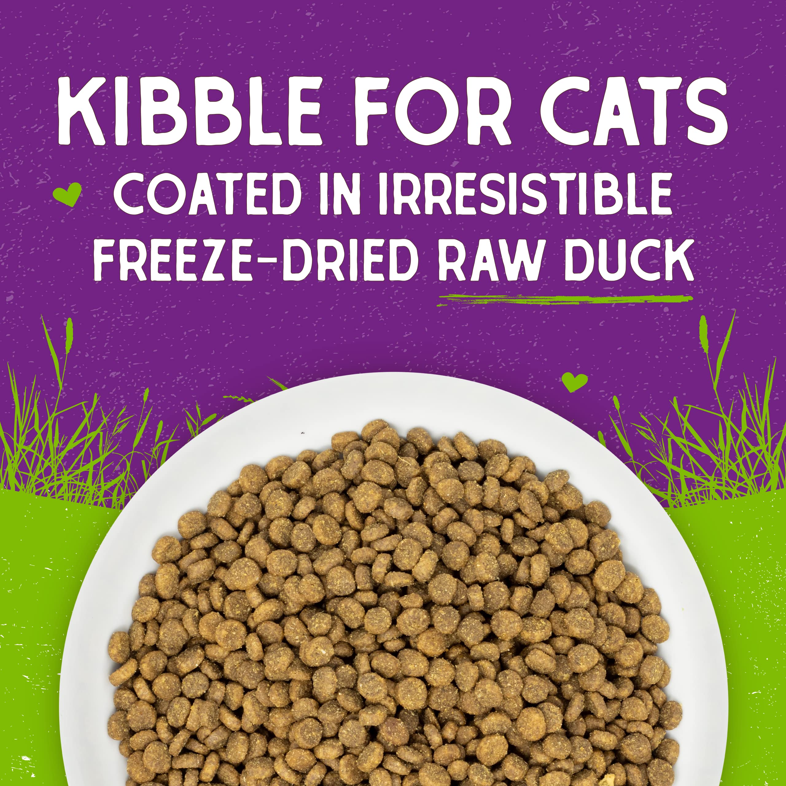 Stella & Chewys Raw Coated Cat Food - High Protein, Grain-Free Kibble with Cage-Free Duck - Premium Digestive Support with Prob