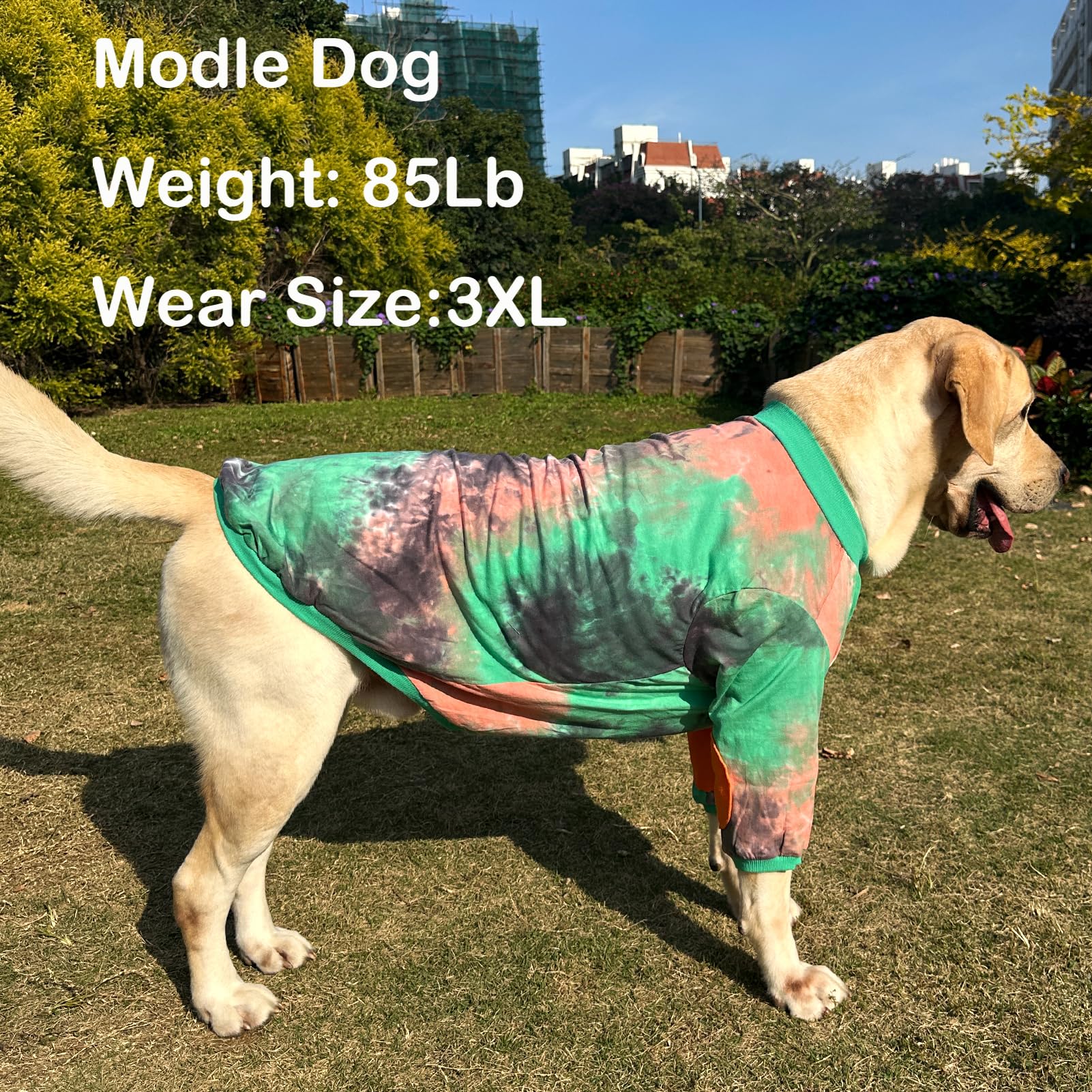 Pripre Dog T Shirt Striped Tie Dye Dog Clothes For Large Dogs Breathable Stretchy Cotton Clothes Dog Pajamas (Greenorange, Xxl)