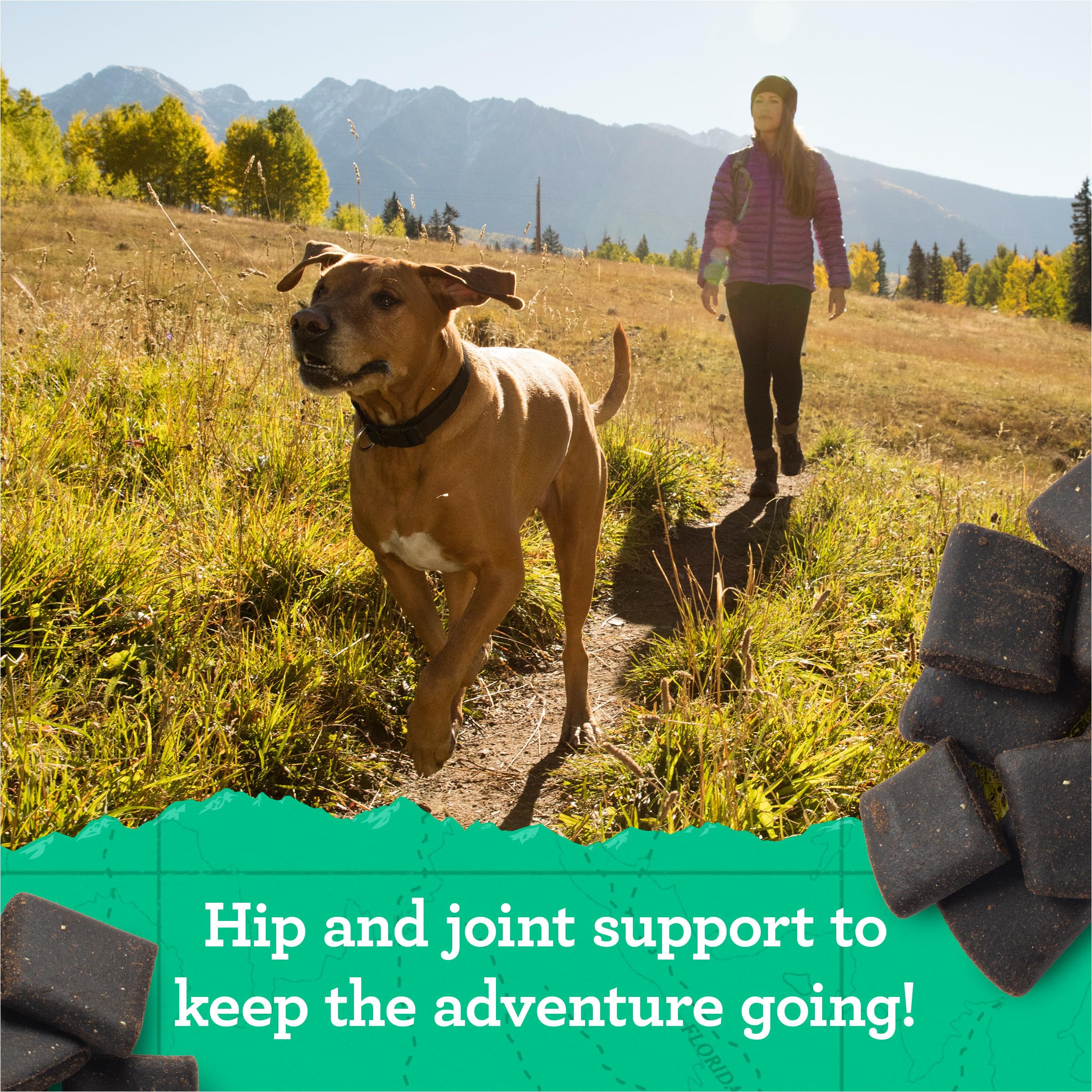 Zukes Hip and Joint Support Dog Treats for Adult Dogs, Senior Dog Treats Made with Real Peanut Butter and Oats, 6 oz. Resealabl