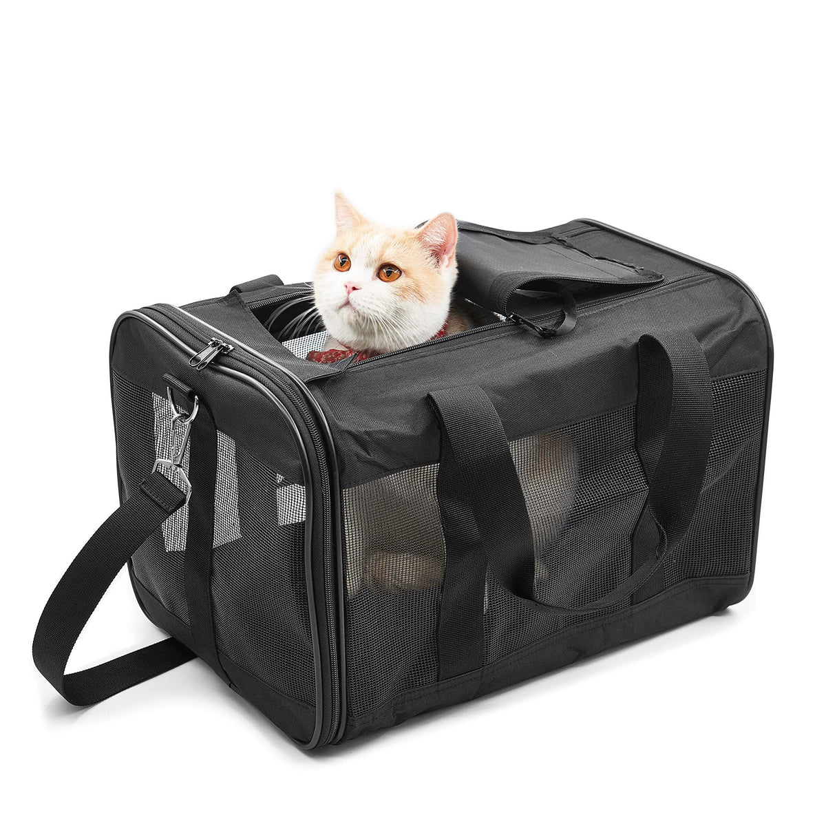 Fluffydream Pet Travel Carrier Soft Sided Portable Bag For Cats, Small Dogs, Kittens Or Puppies 17 Lbs Max, Collapsible, Durable, Airline Approved, Travel Friendly (Medium)