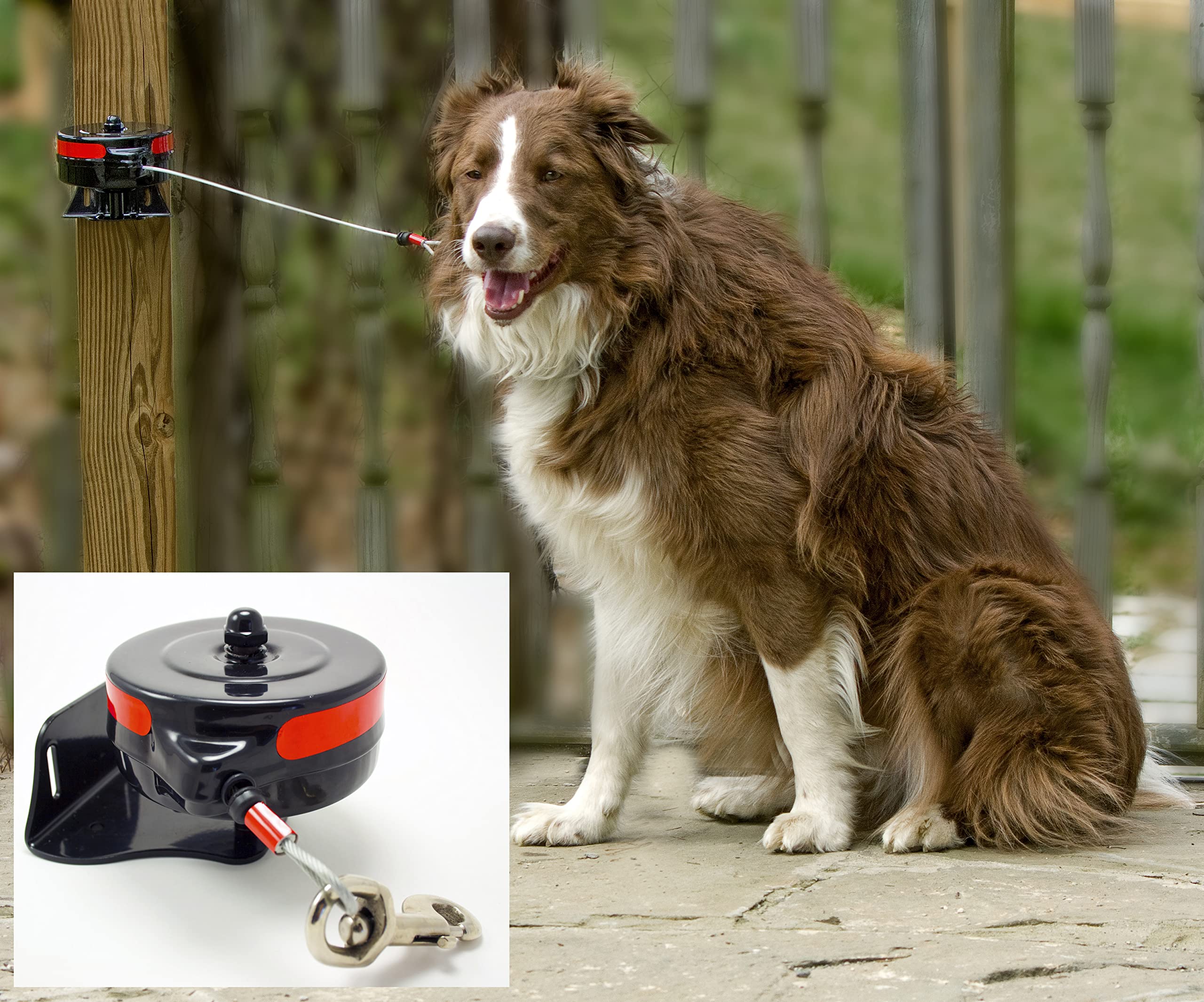 Lixit Retractable Leash Tie Out for Dogs, Large (80-120 lbs), Red, Model 30-8431-008, Bracket Mount and Stake Included