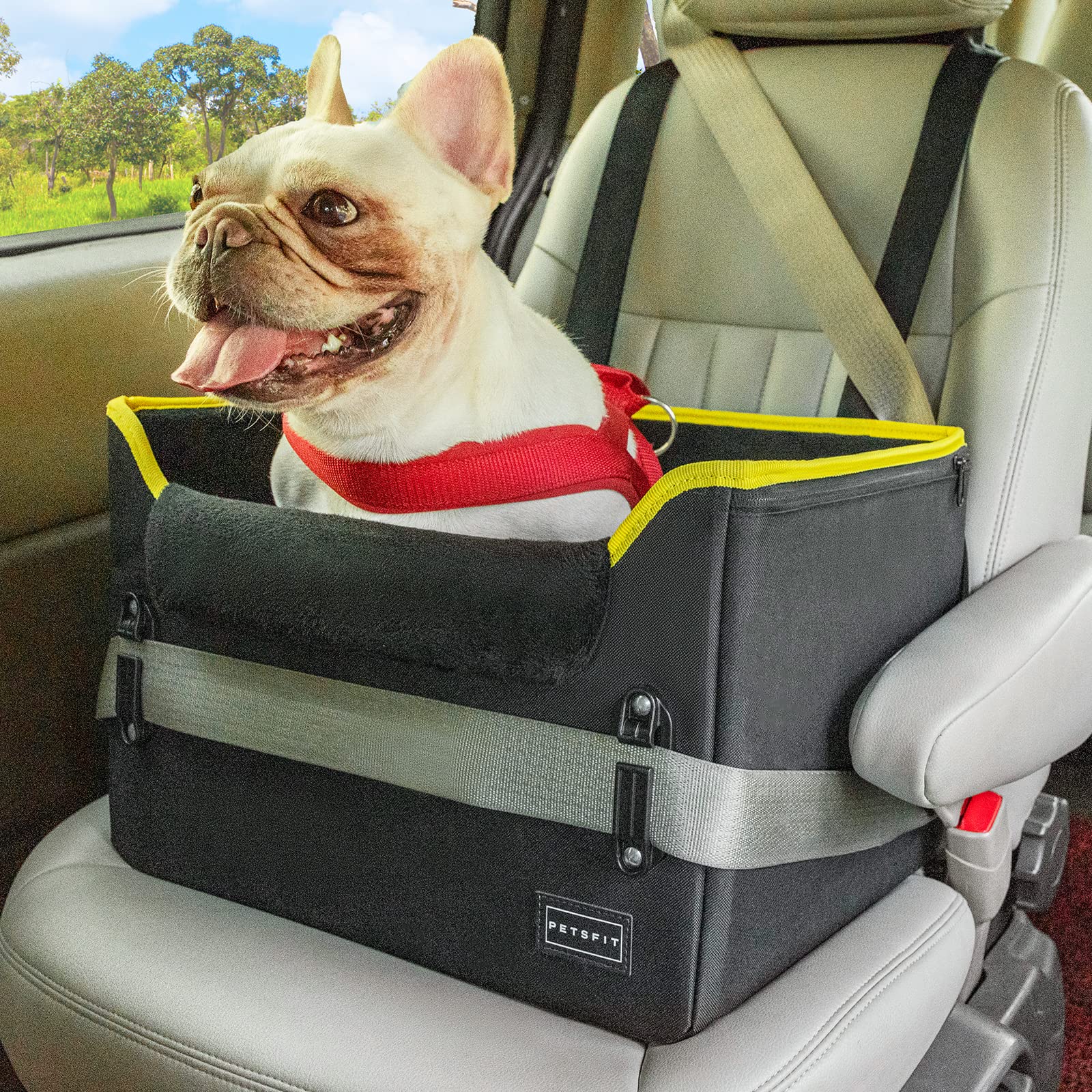 Petsfit Small Dog Car Seat, Portable Car Saet For Dogs With Patent Safe Buckles, Clip-On Leash, Suitable For Small Pets Up To 25