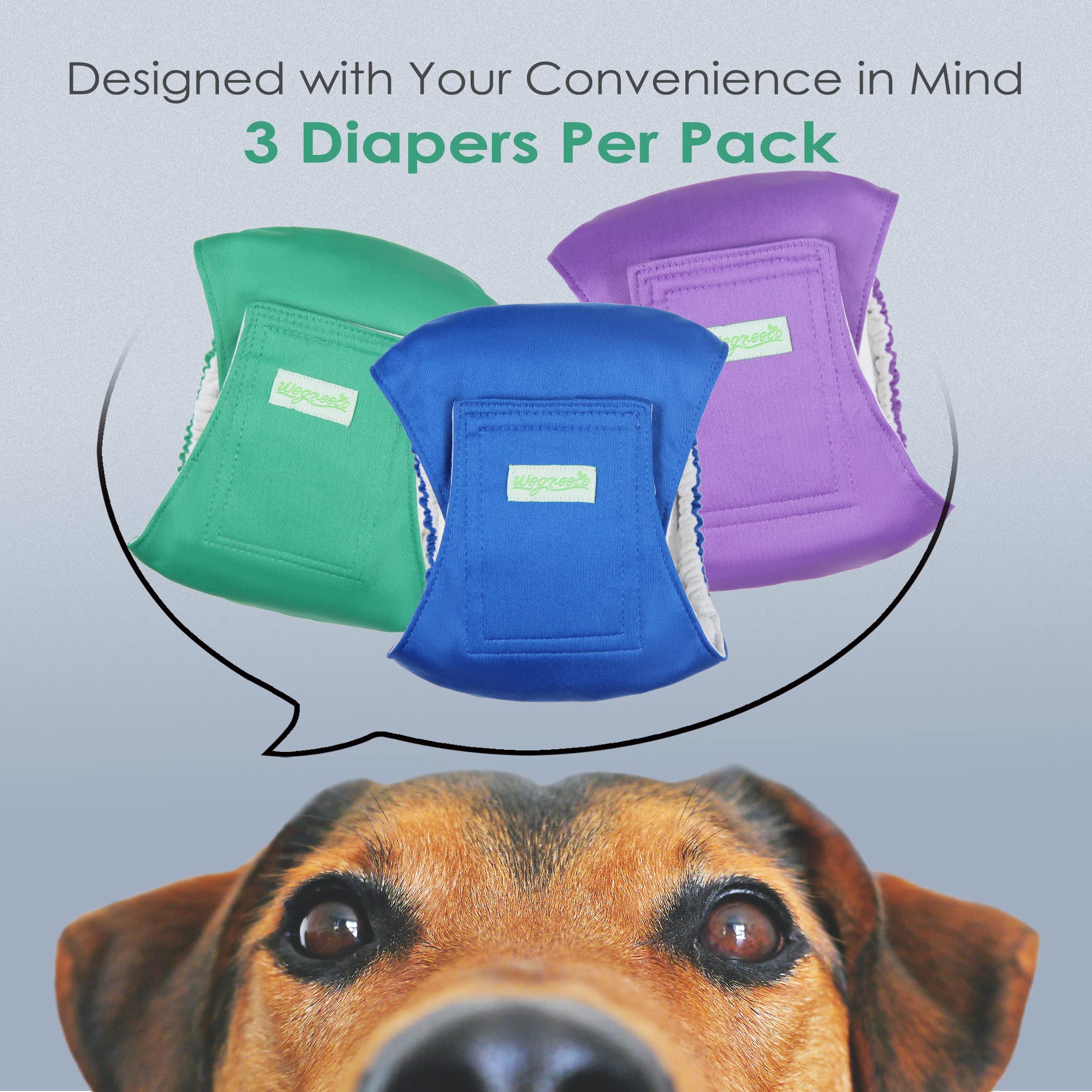 Wegreeco Washable Dog Diapers - Washable Male Dog Belly Wrap- Pack Of 3 - (Blue,Green,Purple,Xx-Large)