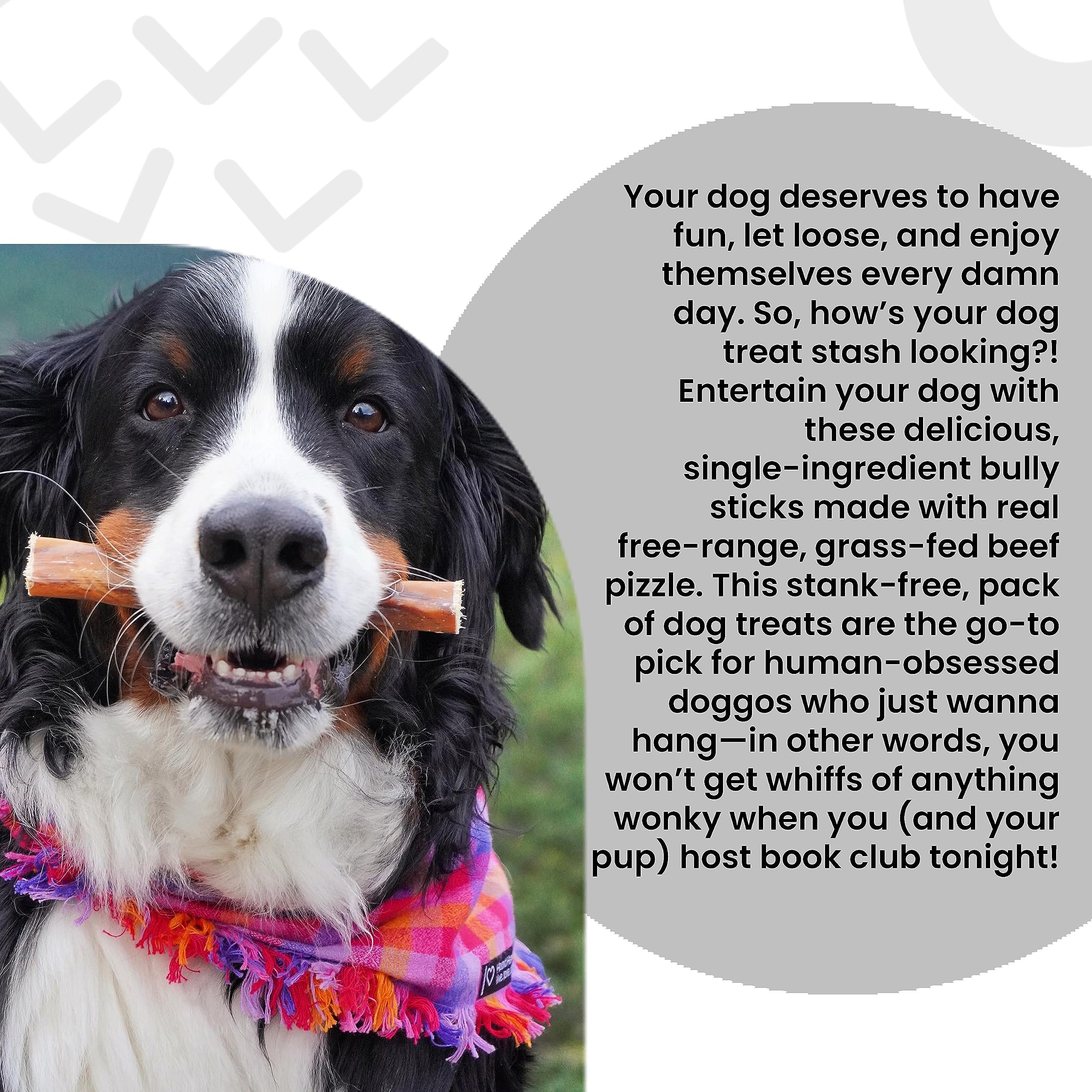 I and love and you No Stink Free Ranger Bully Stix - Beef - Rawhide Alternative, Single Ingredient, Free Range Grass Fed Beef, 1