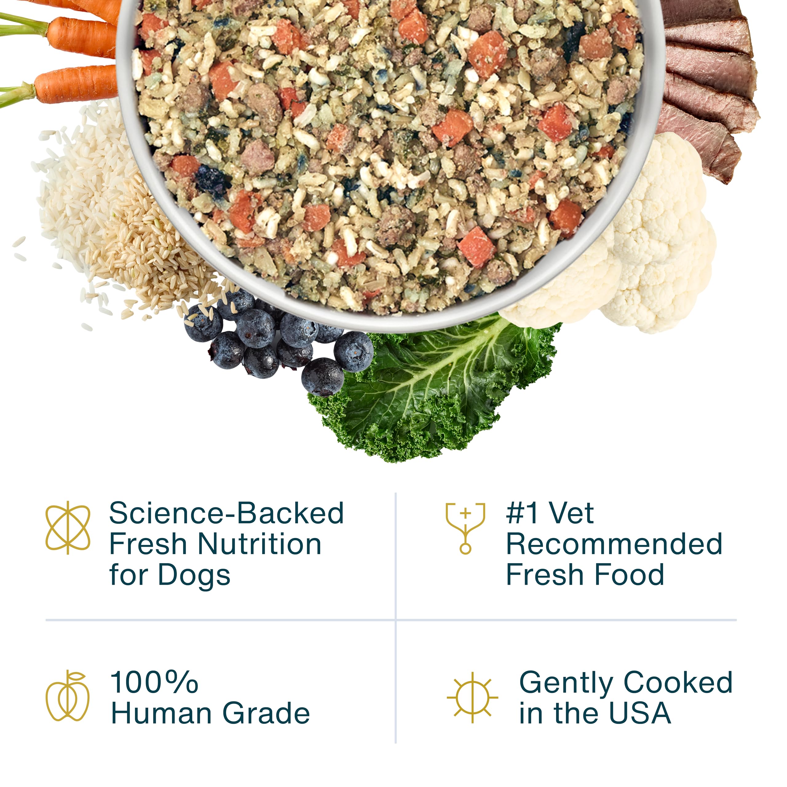 JustFoodForDogs Renal Support Low Protein Dog Food for Kidney Health, Fresh Frozen Human Grade Dog Food, Rx, 72 oz (Pack of 7)