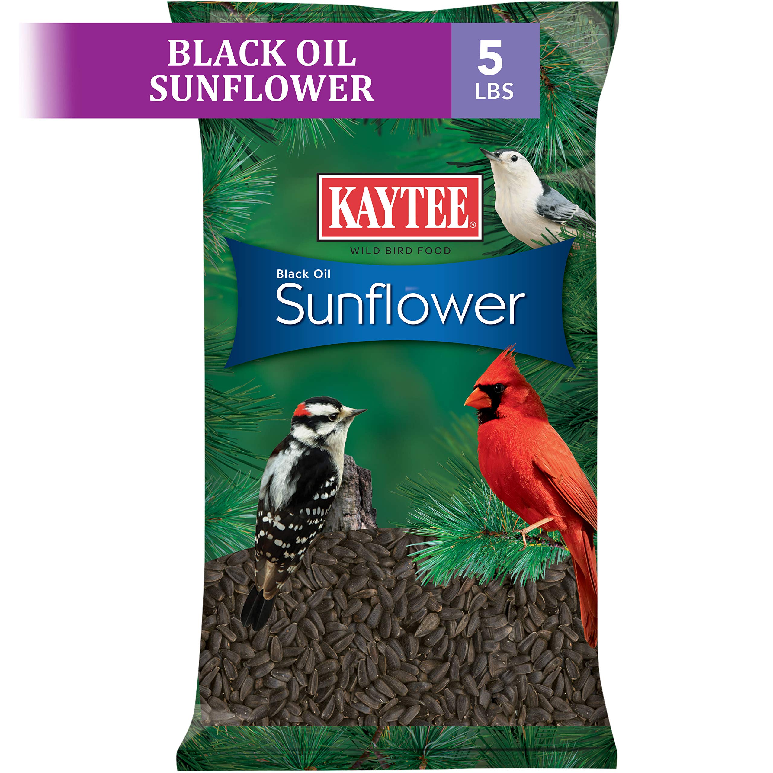 Kaytee Wild Bird Black Oil Sunflower Food, 5 Pounds