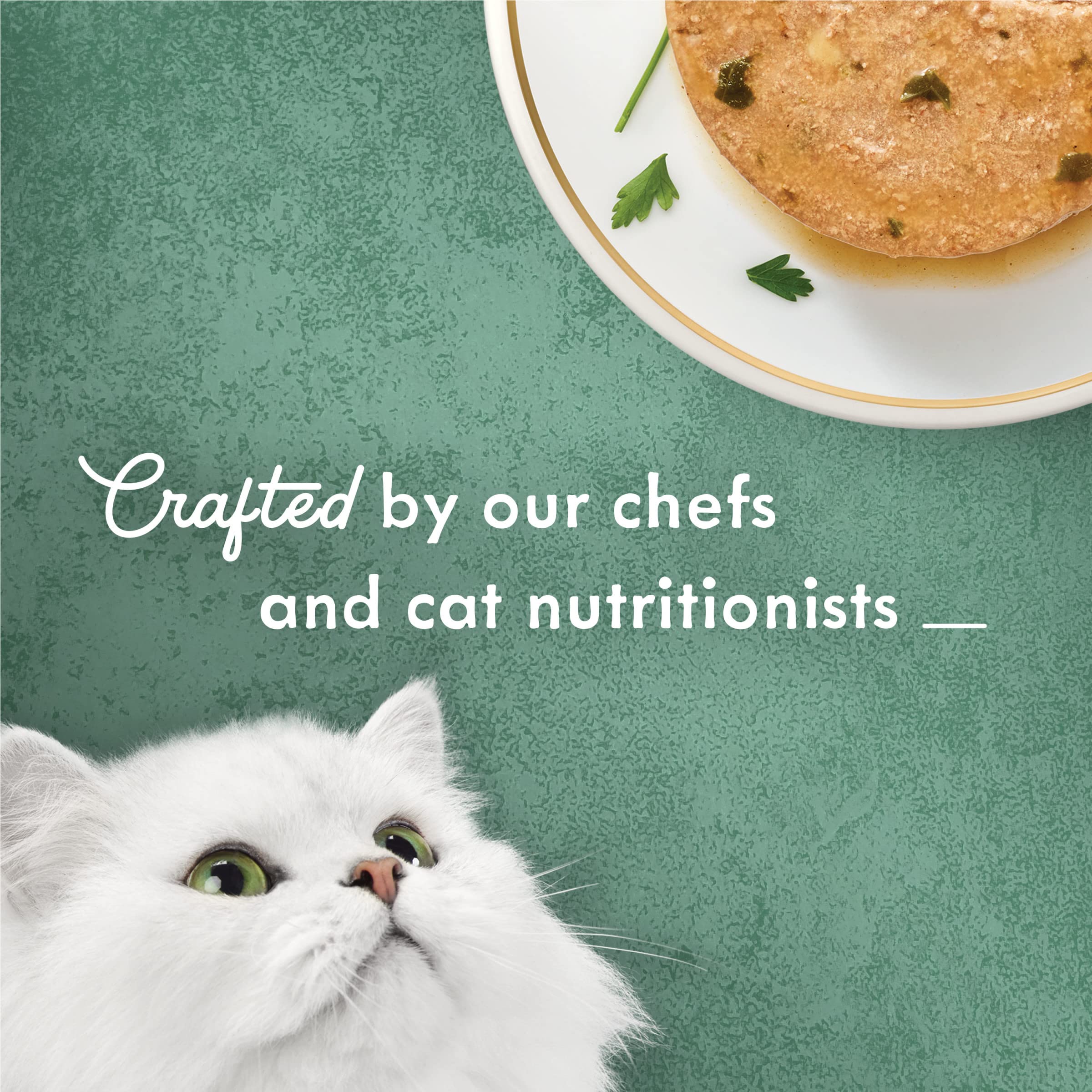 Purina Fancy Feast Pate Wet Cat Food, Medleys White Meat Chicken Florentine With Cheese & Garden Greens - (Pack of 24) 3 oz. Can