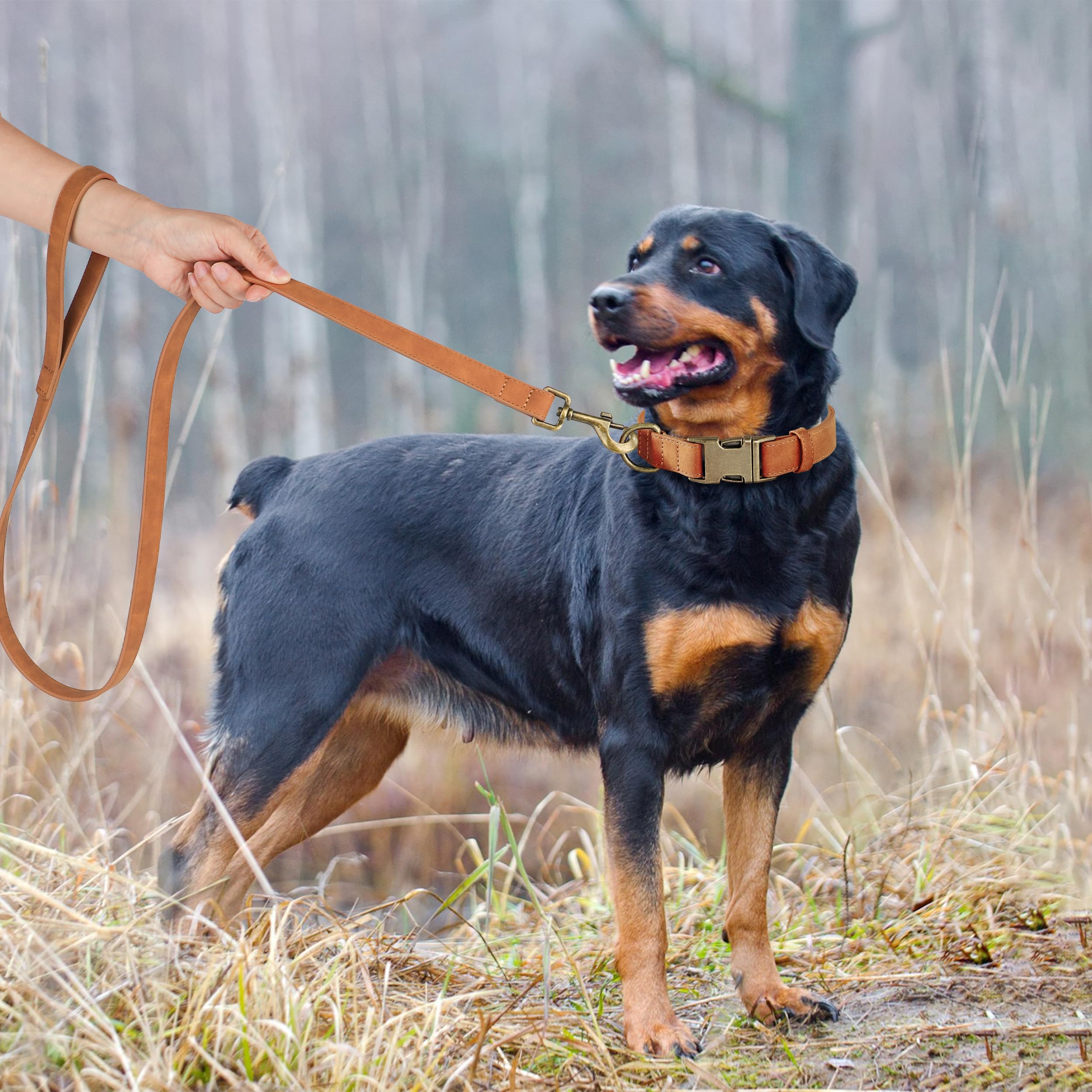 Didog Soft Leather Dog Collar, Durable Quick Released Dog Collars With Metal Buckle, Adjustable Pet Collar Faux Leather For Larg