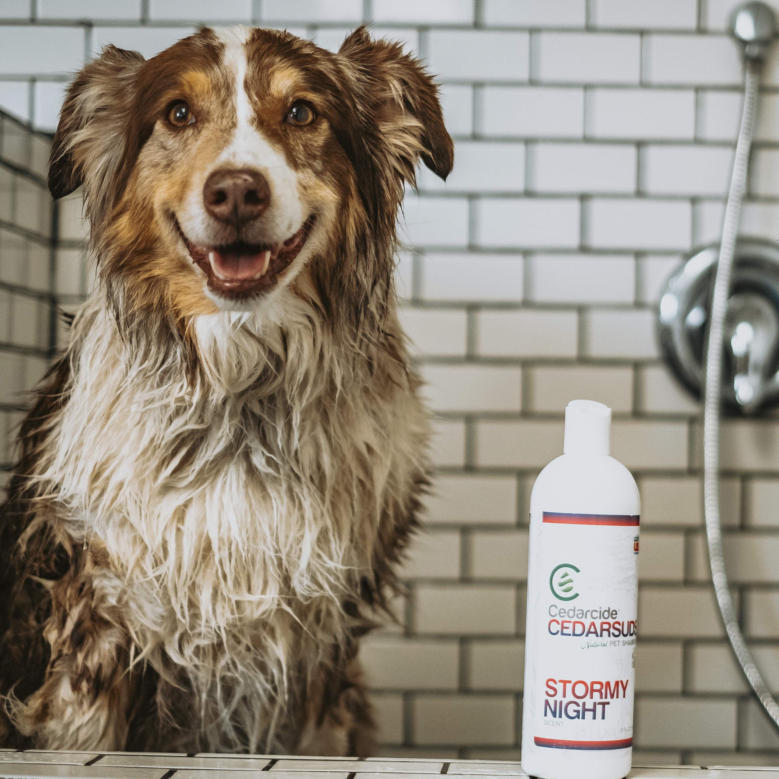 Cedar Suds Pet Shampoo Original Cedar Scent (Pint (16Oz))