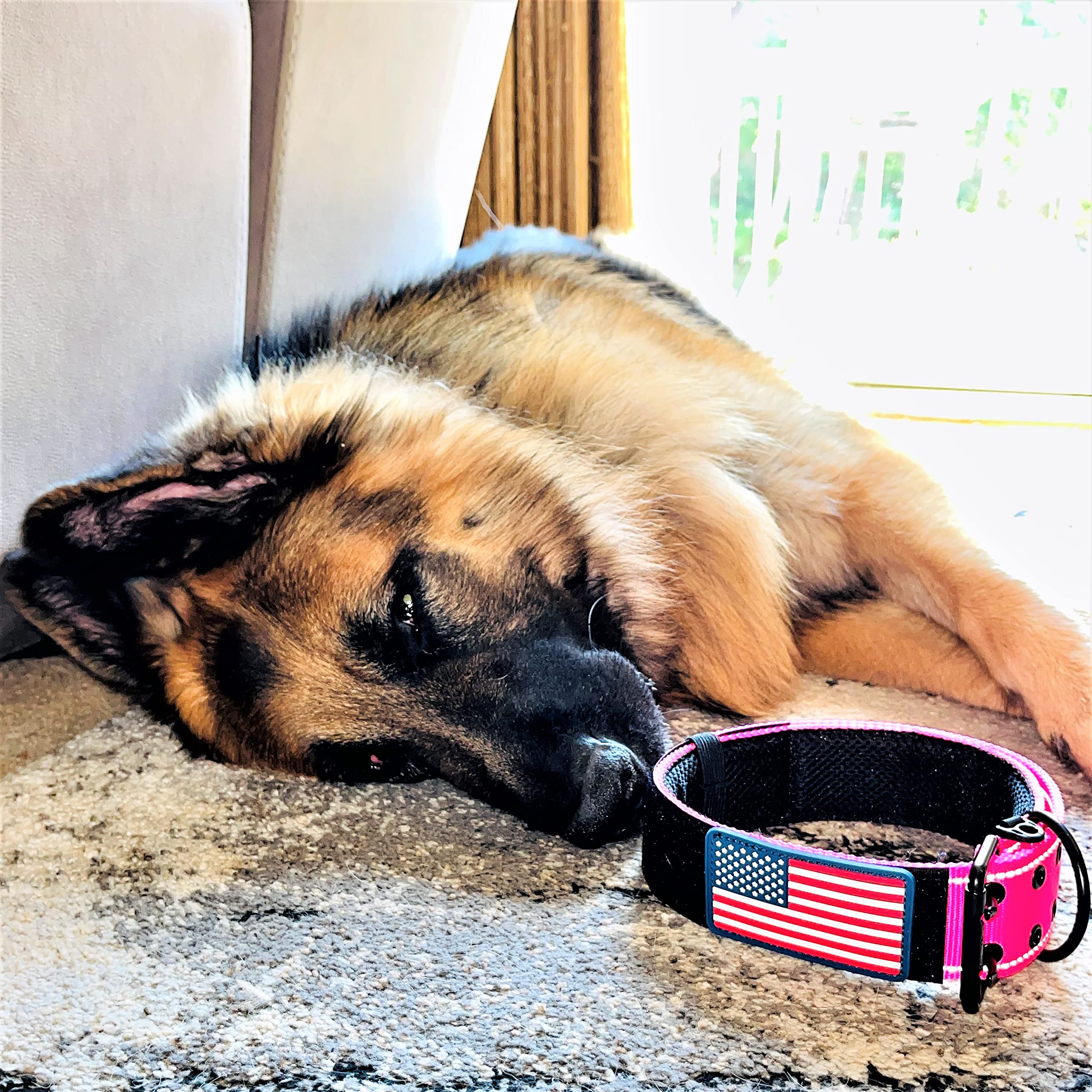 2' Personalized Tactical Dog Collar - Wide Thick Military Style With Strong Belt Buckle Closure - American Flag Patch - Reflective - Med And Xl Sizes For Large And Giant Dogs