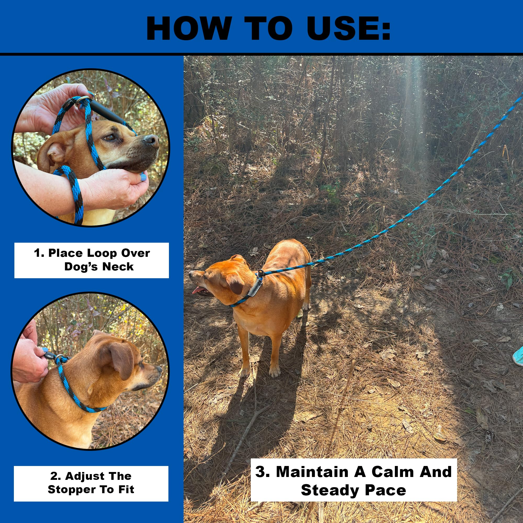 Slip Lead Dog Leash Made In The Usa | All In One No Pull Dog Leash And Collar With Adjustable Loop | 3/8    Thick For Small Dogs