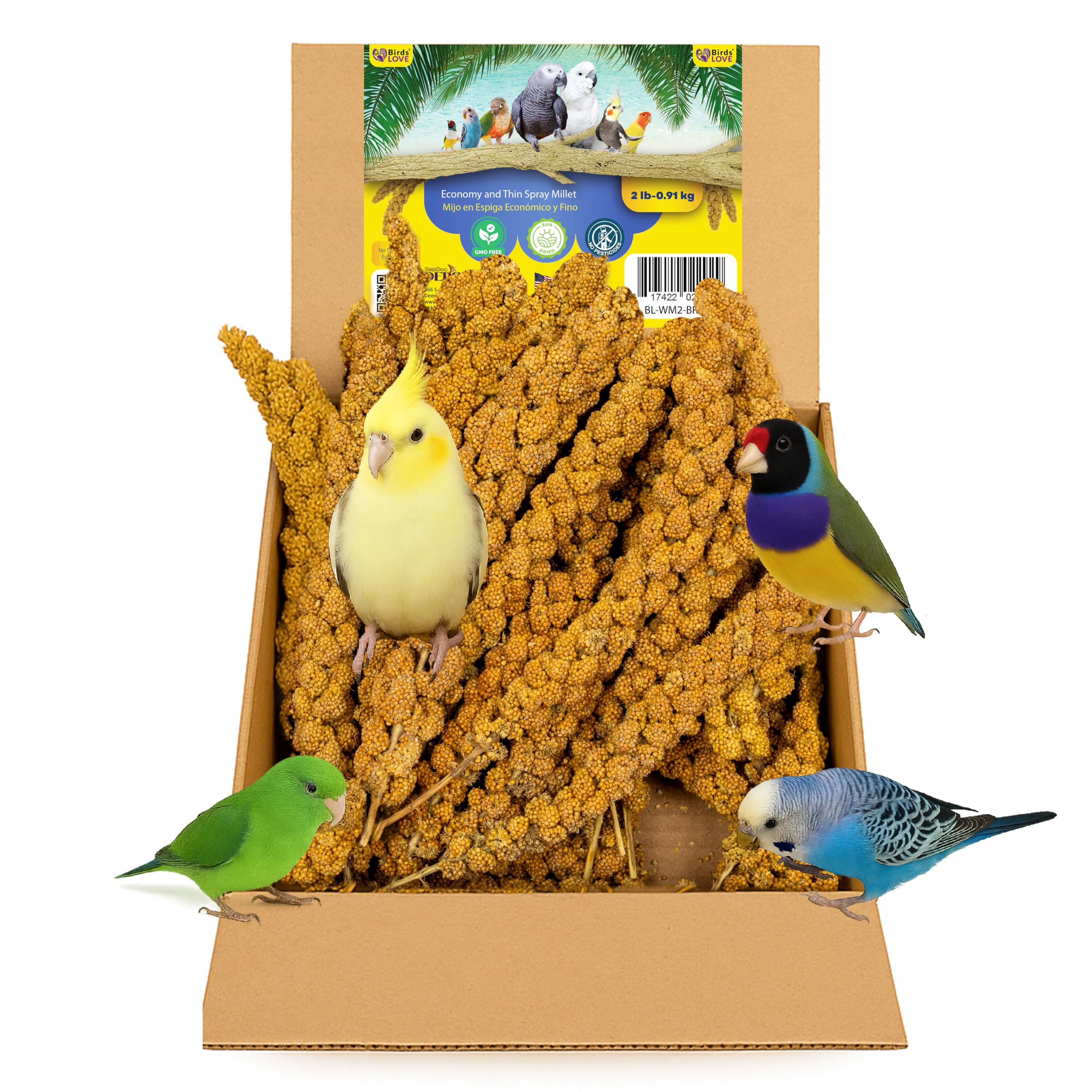 Birds LOVE Economy & Thin Special Spray Millet GMO-Free (No Stems Only Edible Tops) for Birds Cockatiel Lovebird Parakeet Finch 