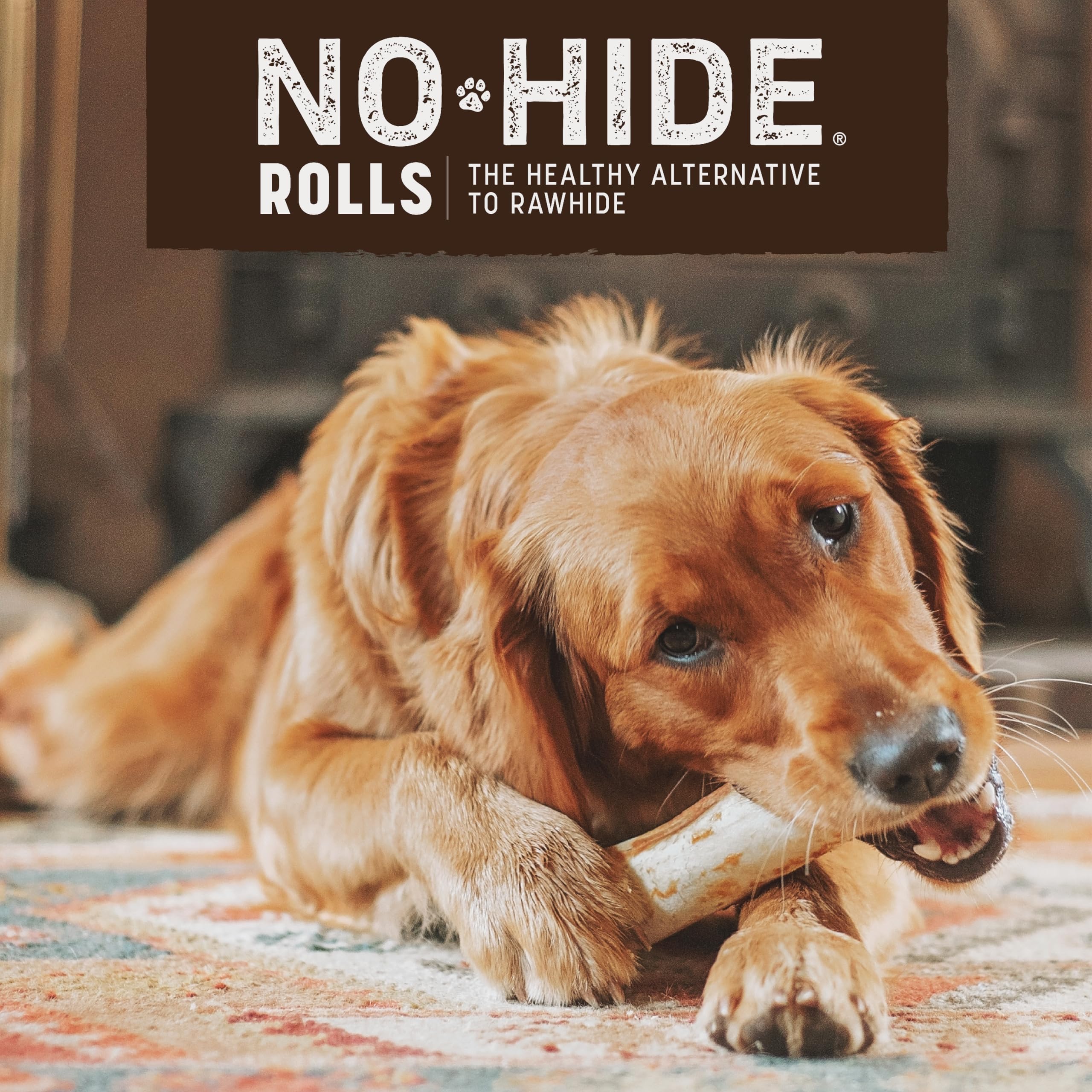 Earth Animal No Hide Salmon Dog Chews, Rawhide Free, Long Lasting, 2 Count (Pack of 3), Ideal for Large Aggressive Chewers