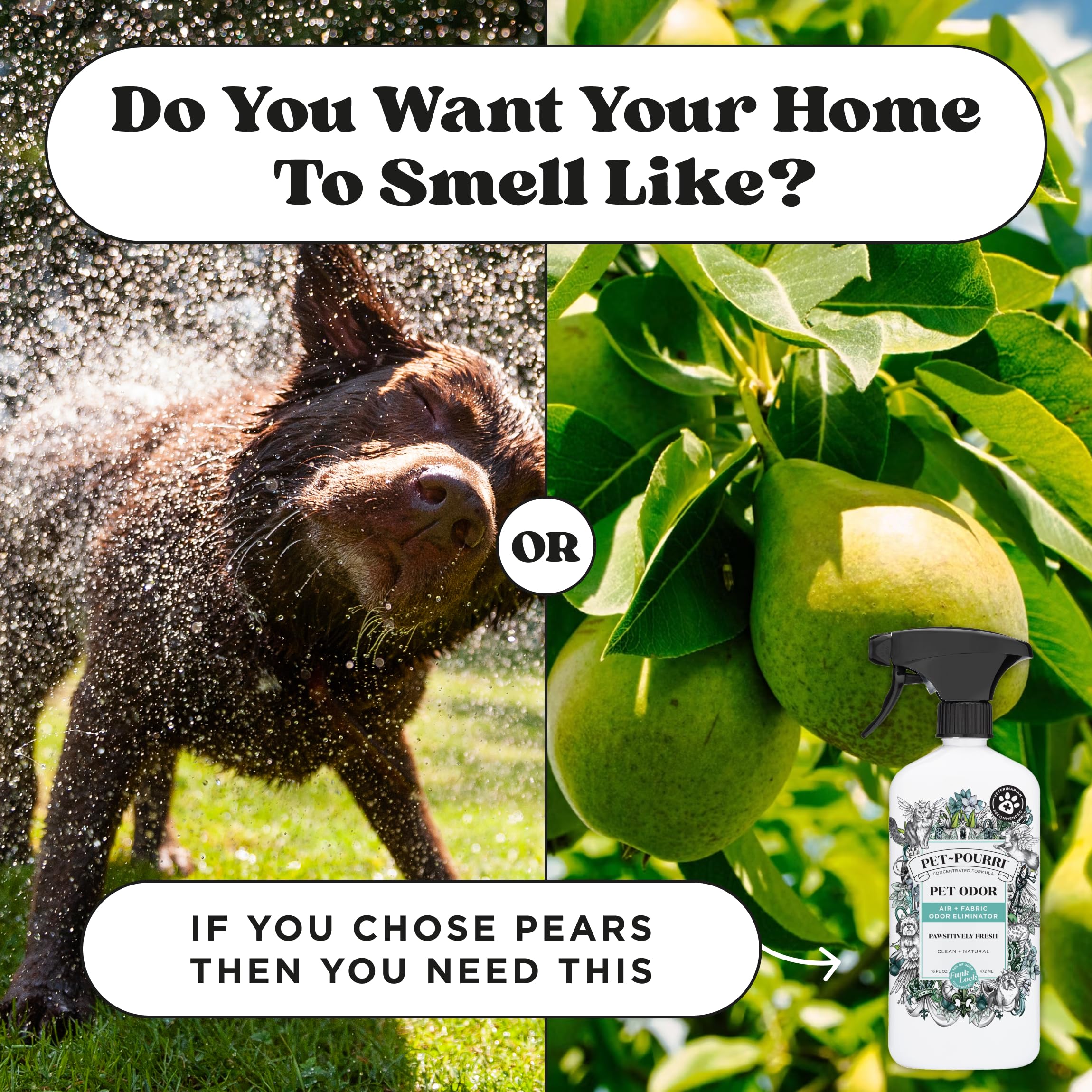 Pet-Pourri Pawsitively Fresh Pet Deodorizer Candle - Pet Safe Plant Based Ingredients & Wax - Vet Approved - Aromatherapy & Air