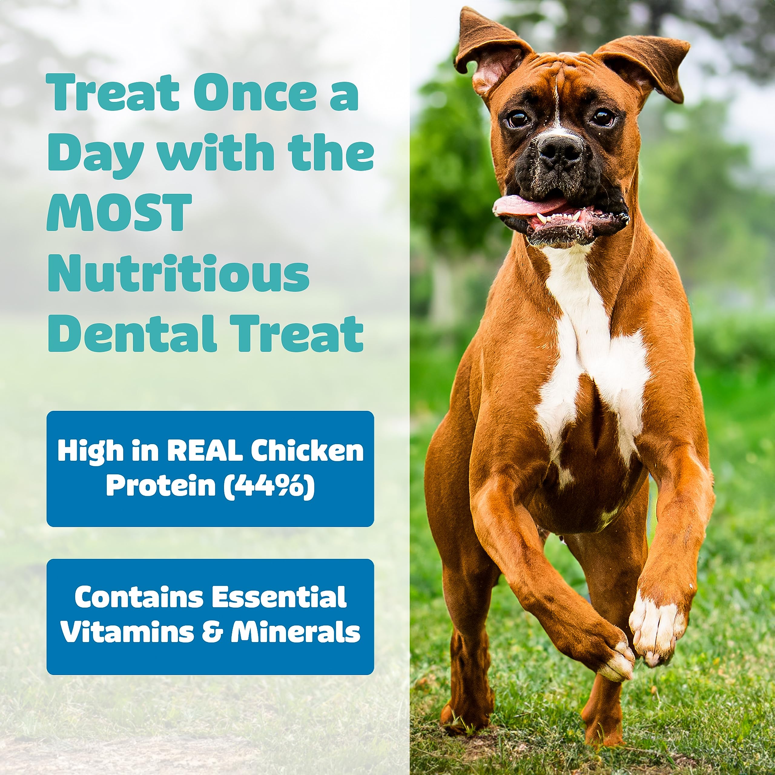 Yummy Combs - Dog Dental Treats | Removes Tartar - Vet VOHC Approved | A Yummy Treat for Teeth Cleaning - Chicken Protein