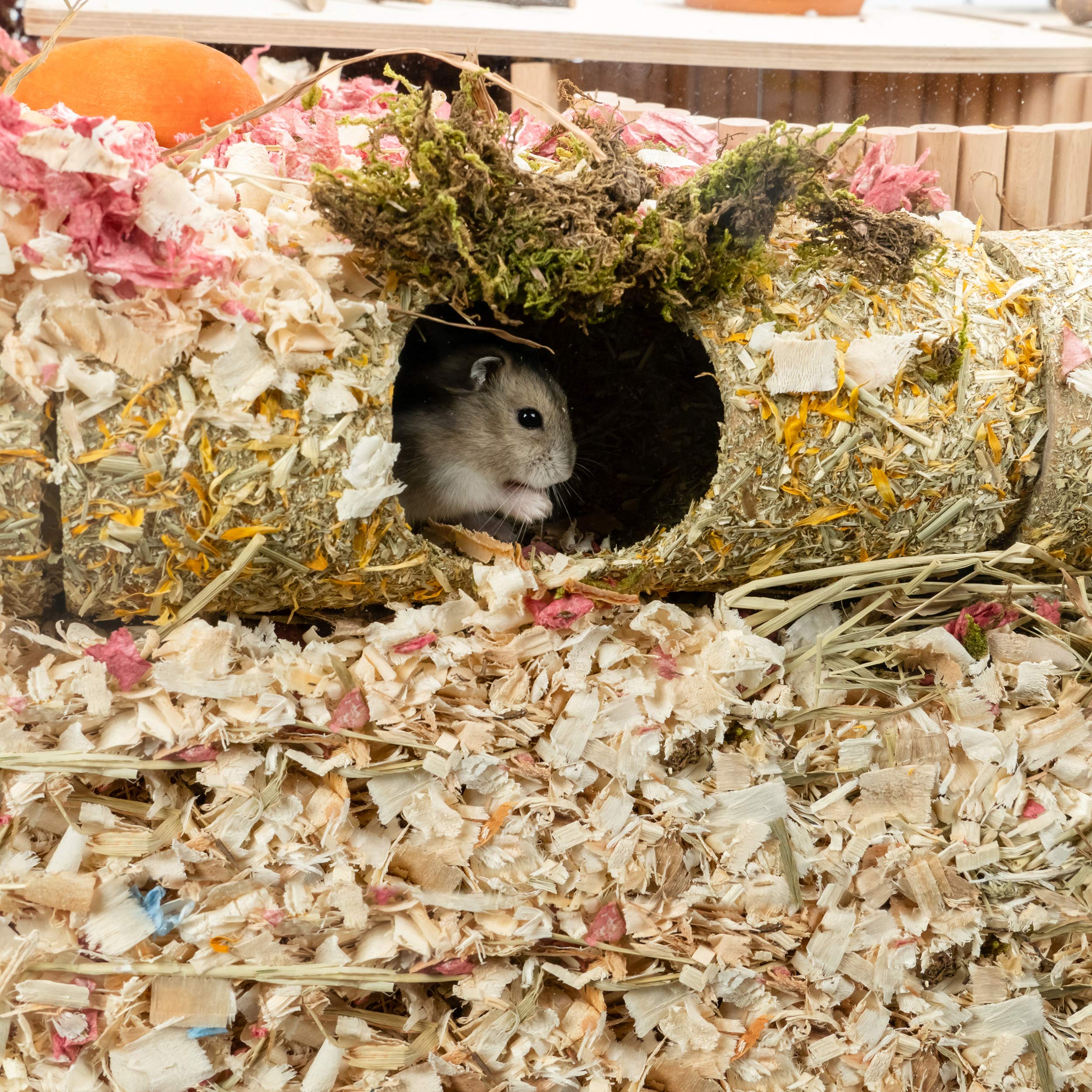 Niteangel Creative & Composable Hamster Tunnel - Diy & Build Unique Tube Burrow As Hideout For Small Sized Animals Like Hamsters Mouse Gerbils Mice (Tunnel W/Hole)
