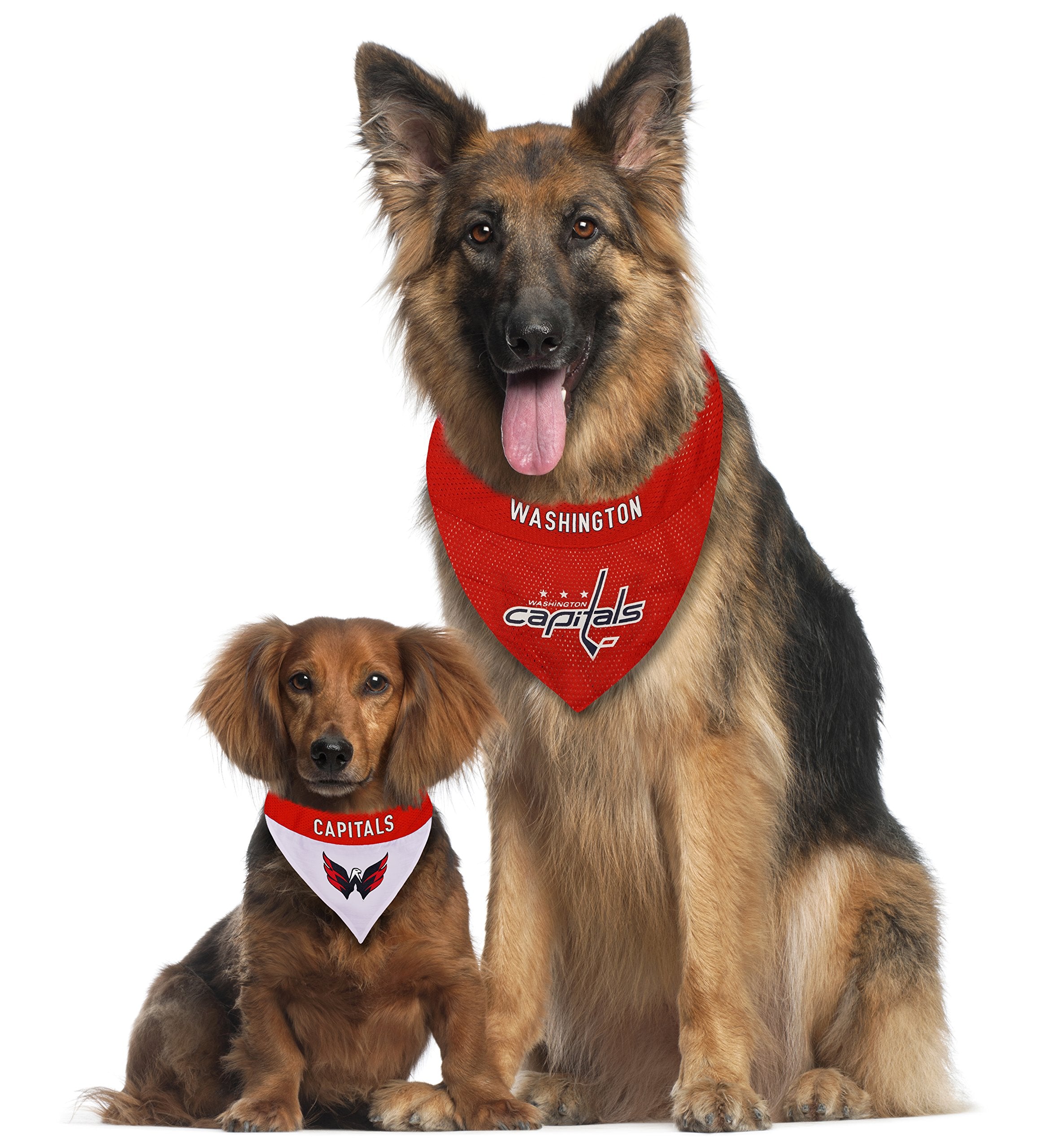 NHL Washington Capitals Bandana for Dogs & Cats, Small/Medium. - Cute & Stylish Bandana! The Perfect Hockey Fan Scarf Bandana, G