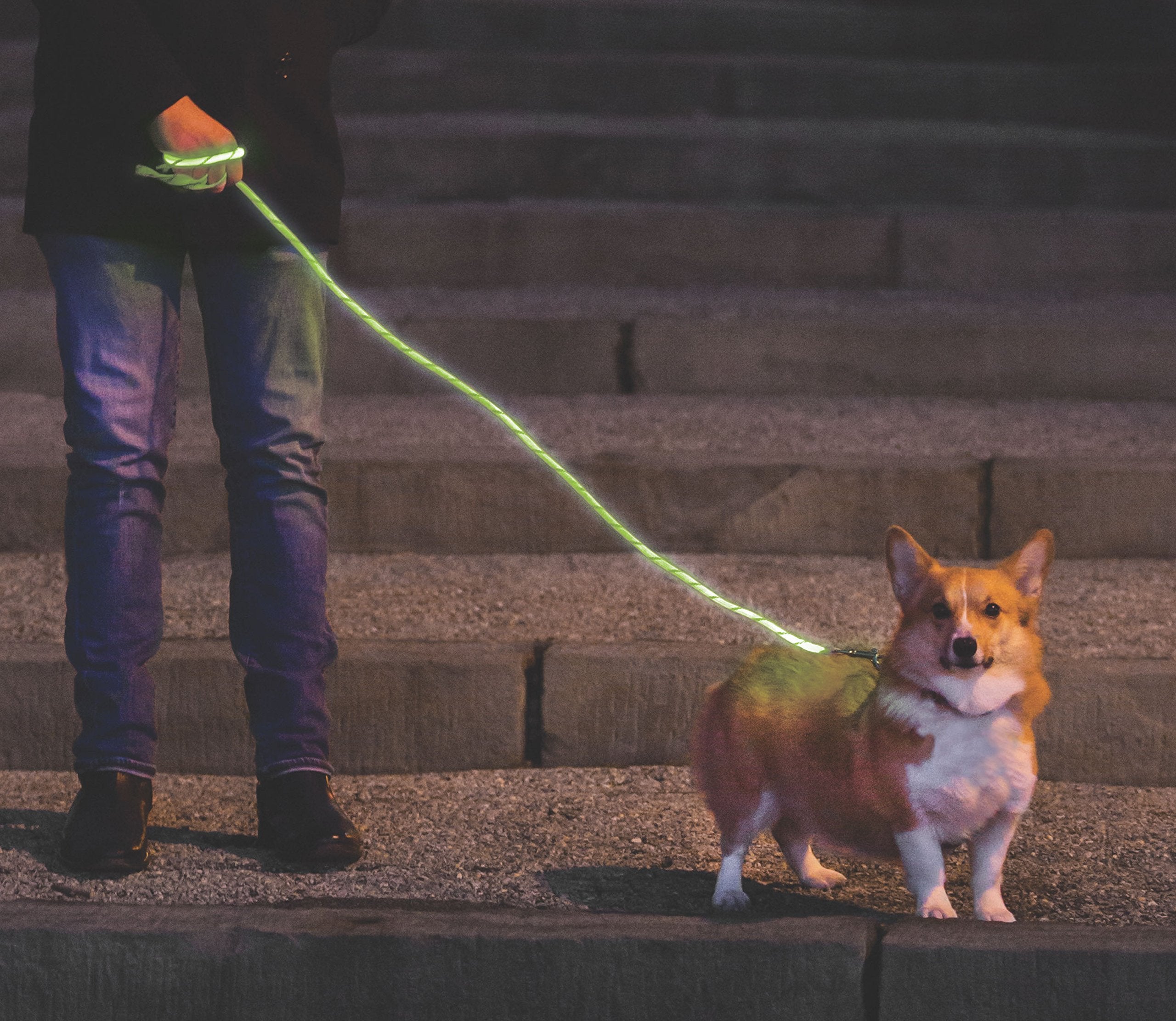 Nitey Leash - Led Glow In The Dark Pet Dog Leash (Green)
