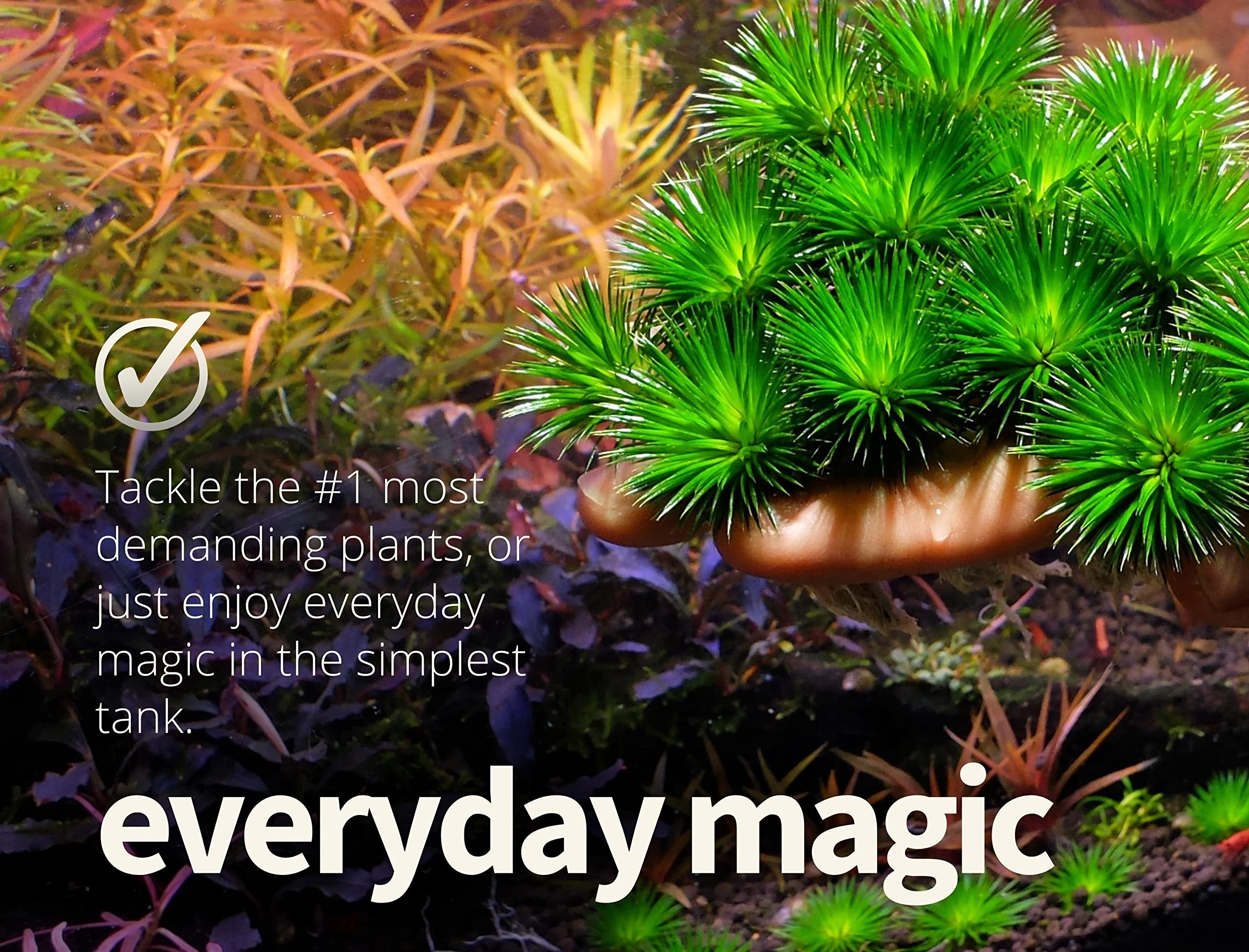 2HR Aquarist All-in-one Aquarium Plant Fertilizer APT E Estimative Index (500ml)