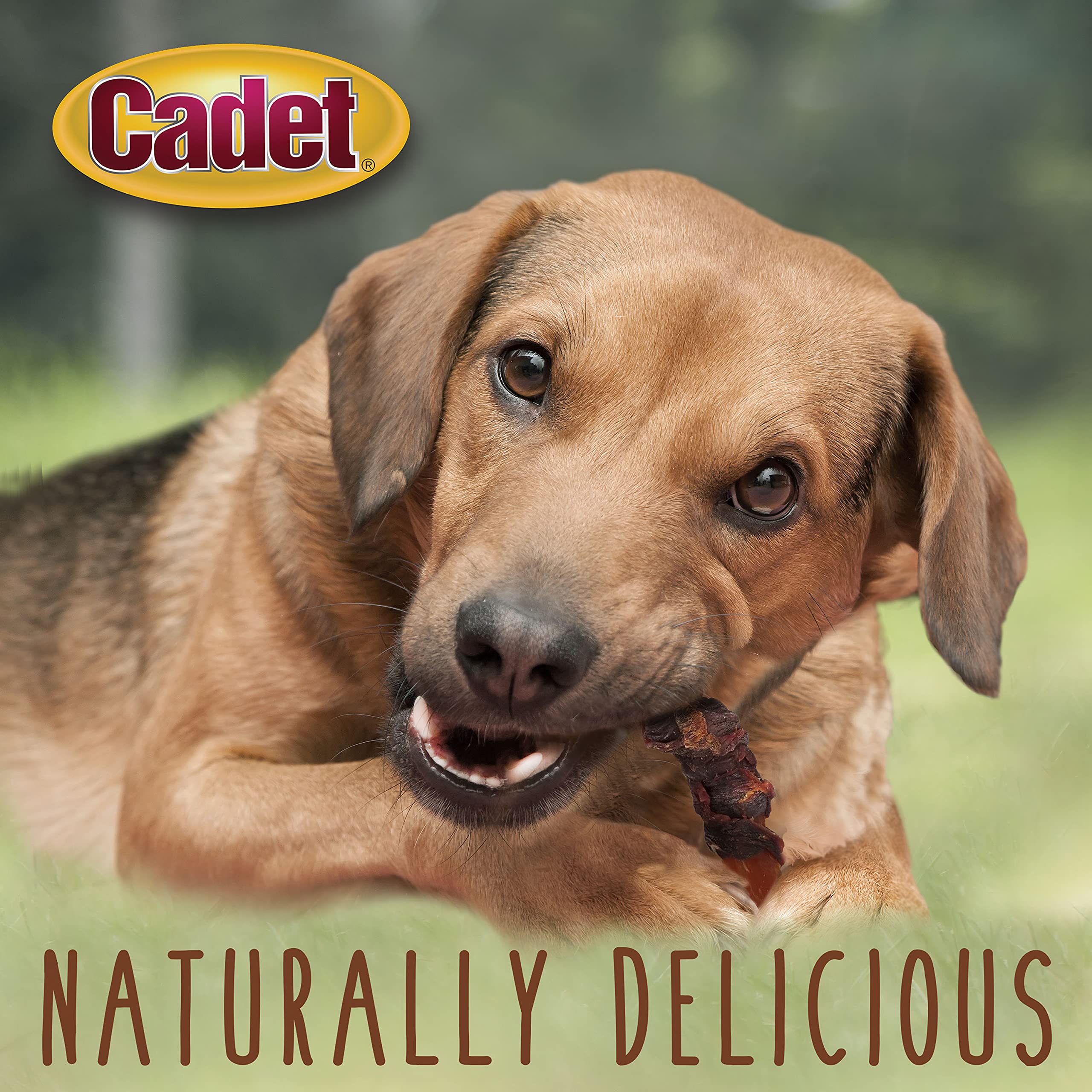 Cadet Gourmet Sweet Potato and Duck Wraps for Dogs