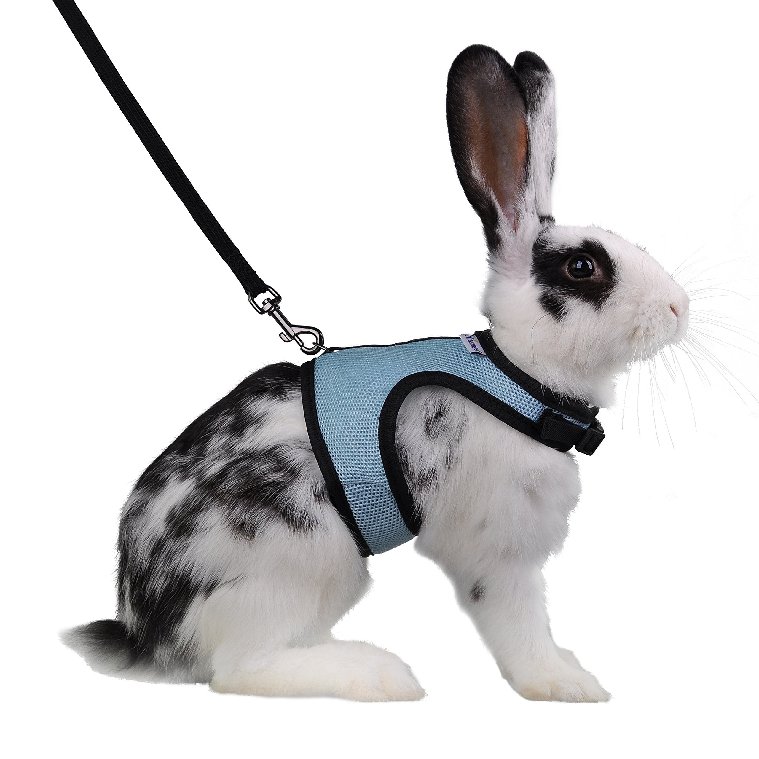 Niteangel Adjustable Soft Harness With Elastic Leash For Rabbits (L, Blue)