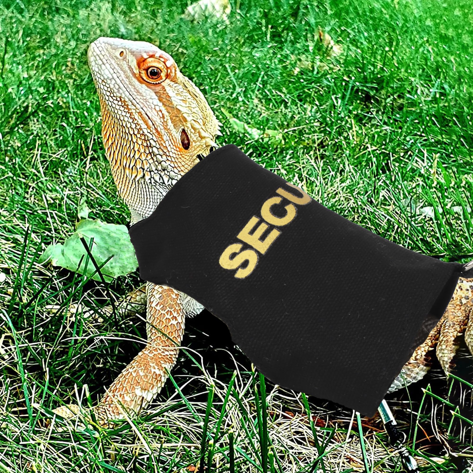 Adoggygo Bearded Dragon Harness Leash Set, Lizard Clothe Costume Adjustable Reptile Harness With 5Ft Leash For Bearded Dragon Li