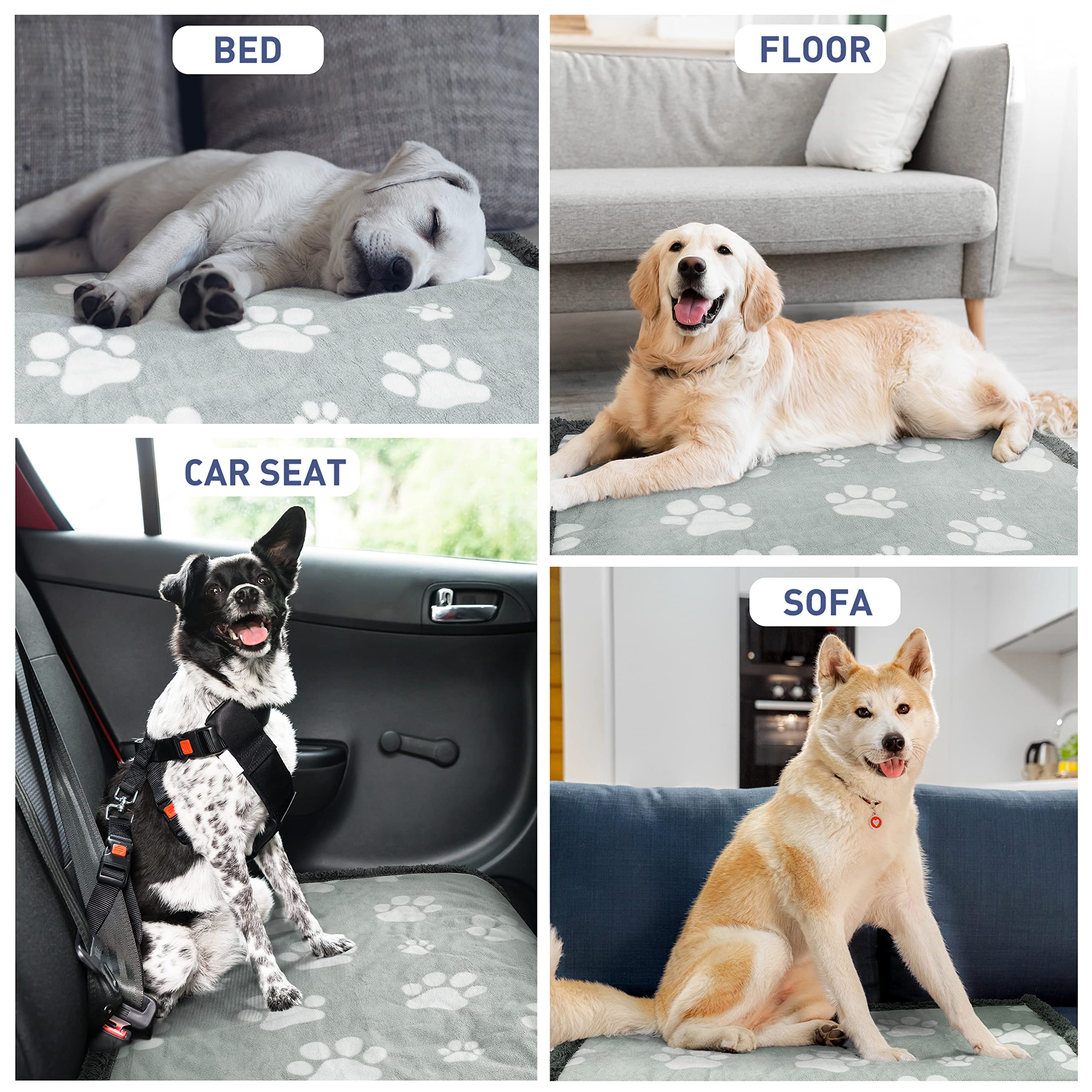 Kritter Planet Waterproof Dog Blankets For Small Dogs, Puppy Blankets For Litter, Cat Blankets For Indoor Cats Washable, Reversi