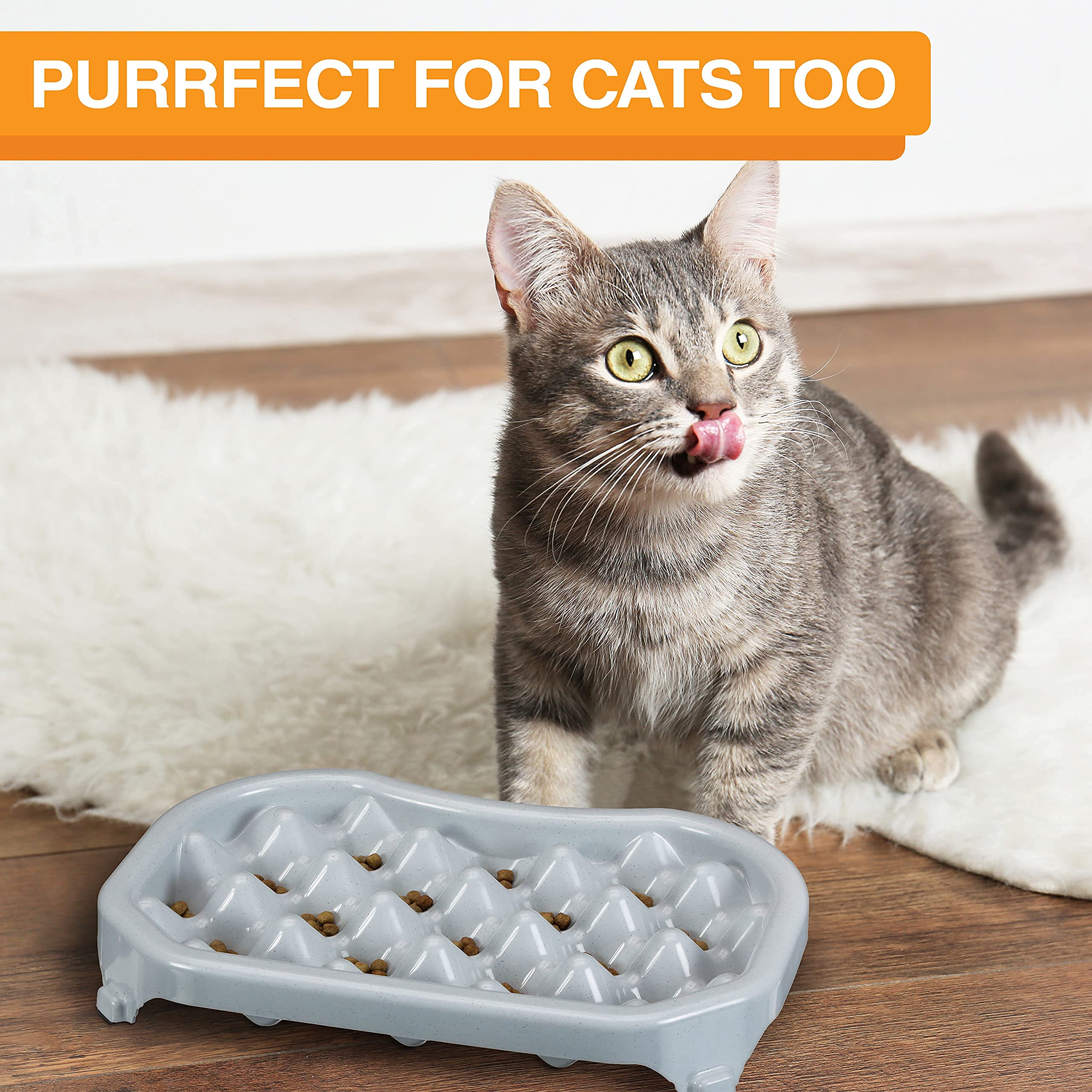 Neater Pet Brands - Neater Slow Feeder - Fun, Healthy, Stress Free Dog Bowl Helps Stop Bloat Prevents Obesity Improves Digestion