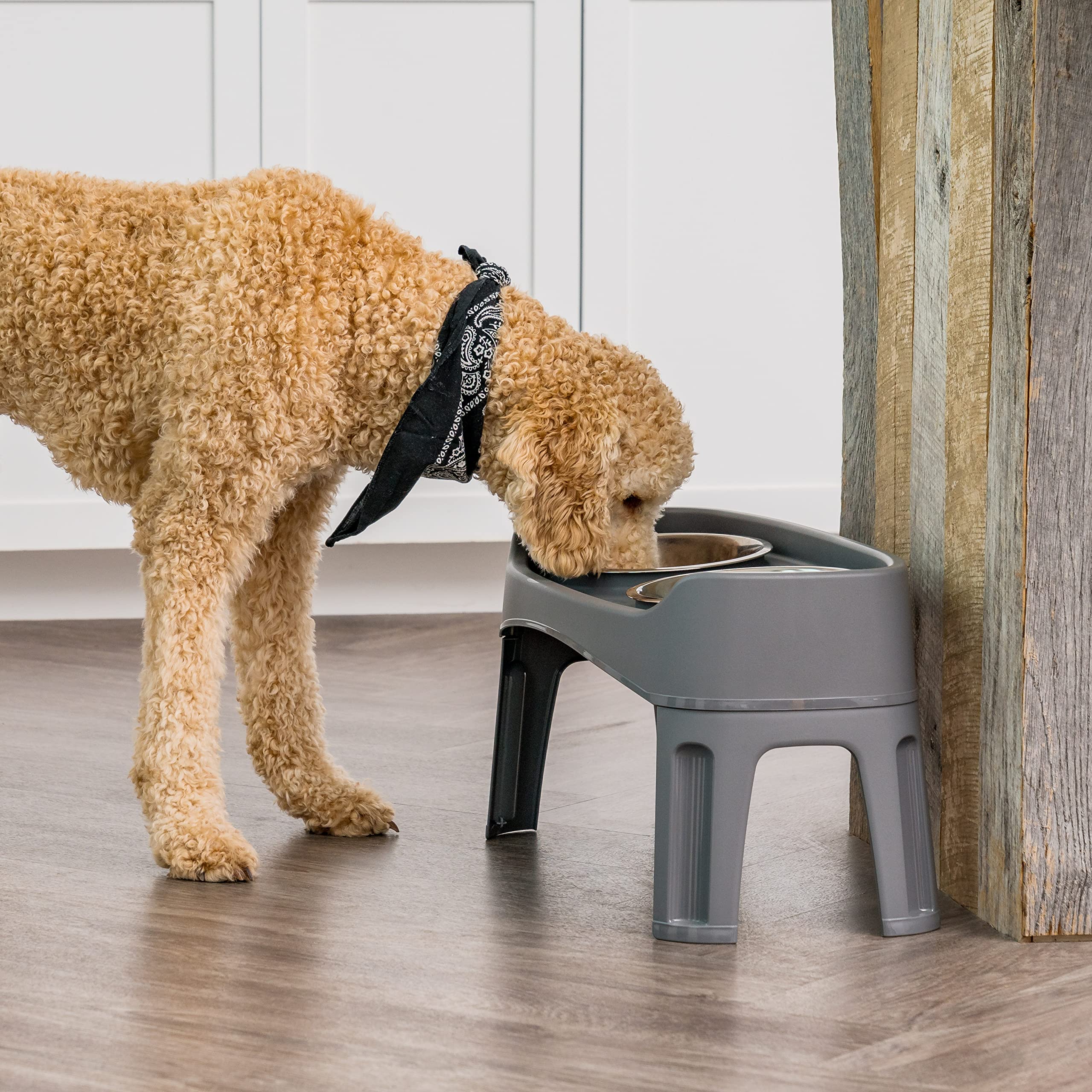 IRIS USA Elevated Dog Bowls, Adjustable Height, 2 Thick 64 oz Stainless Steel Bowls, Spill-Proof with Raised Outer Rim, Durable