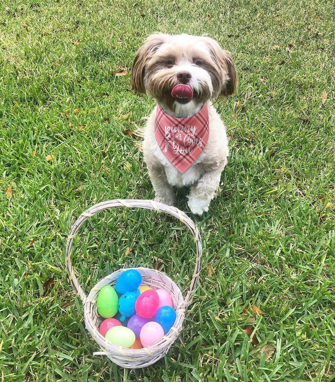 Dog Easter Bandana - Pack Of 2 Easter Bandanas For Dogs