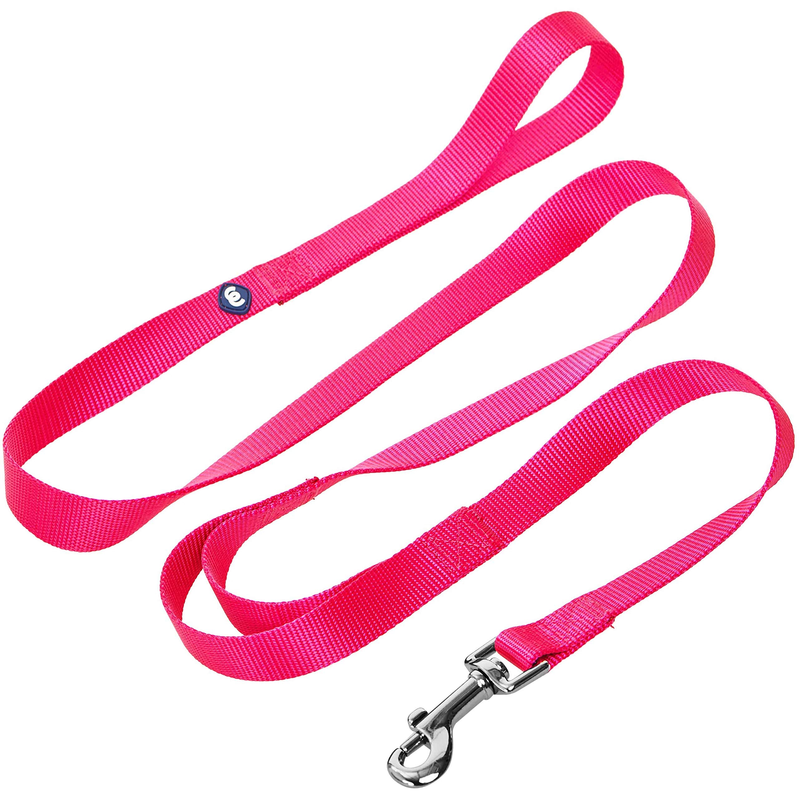 Blueberry Pet Essentials Durable Classic Dog Leash 5 Ft X 5/8', French Pink, Small, Double Handle Leashes For Dogs