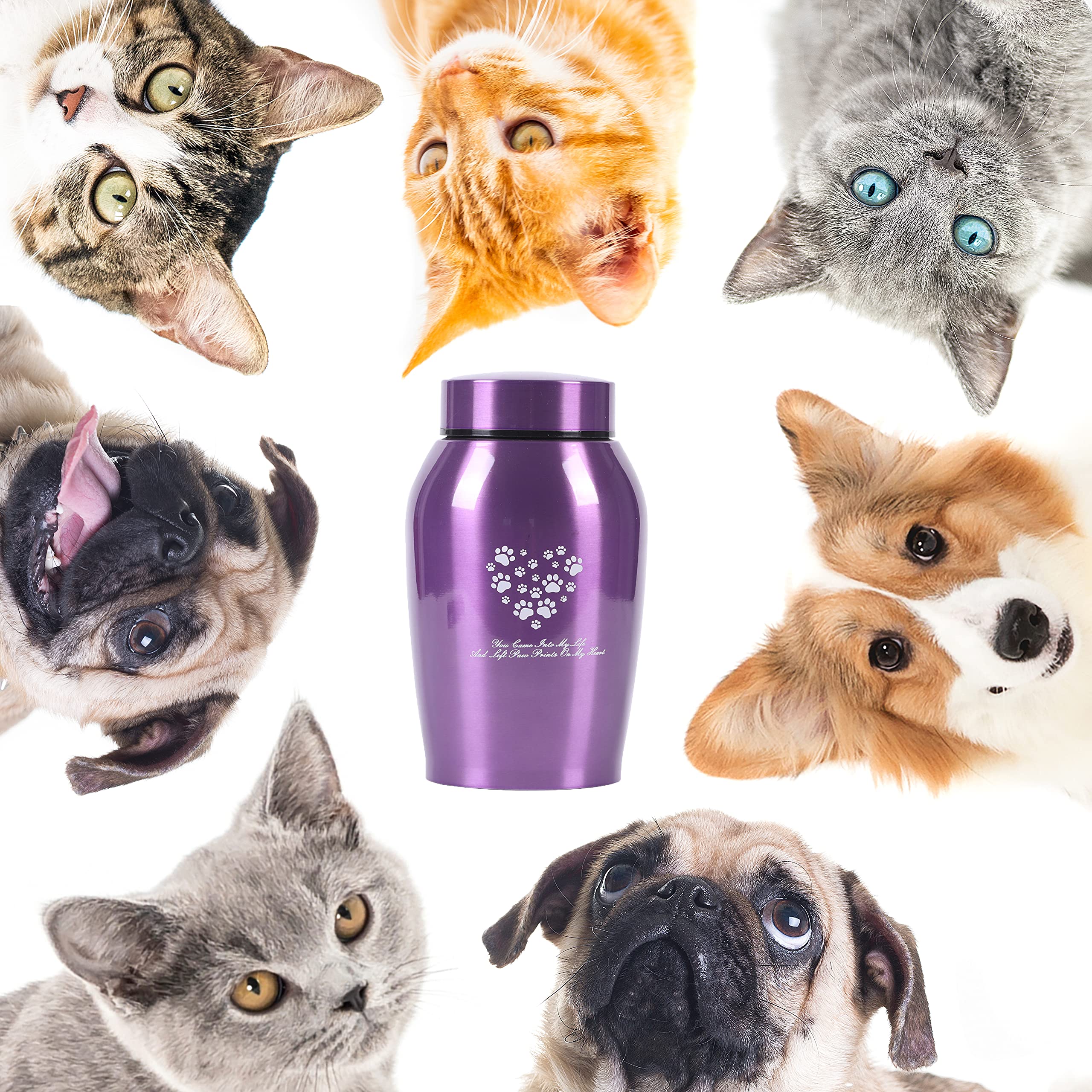 Stainlee Steel Pet Urns,Premium Urns For Dog And Cat Ashes,Paws Engraved Dog Urn For Ashes,Cat Creamtion Urn For Ashes,Pet Urn F
