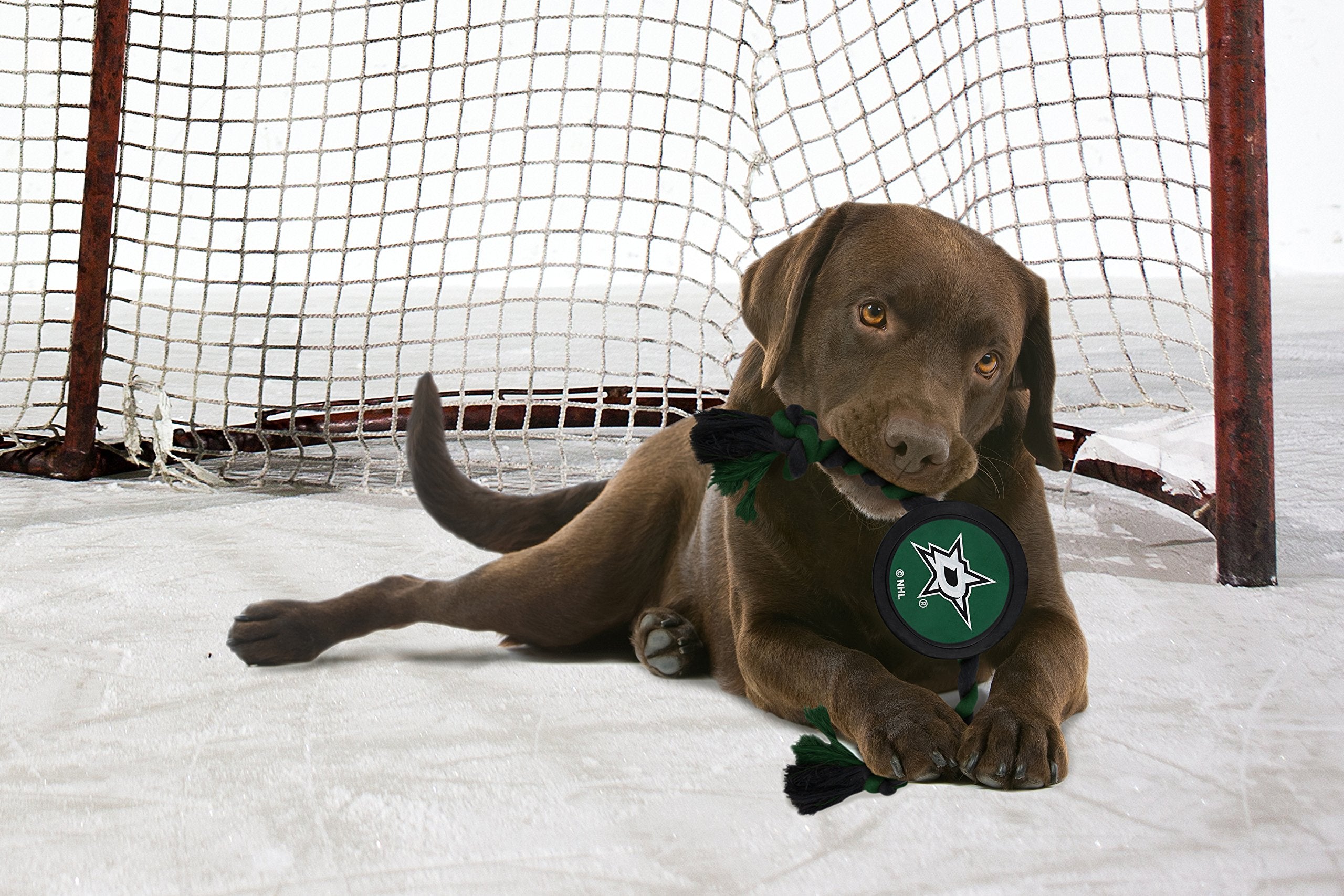 Pets First NHL Dallas Stars Puck Toy for Dogs & Cats. Play Hockey with Your Pet with This Licensed Dog Tough Toy Reward!