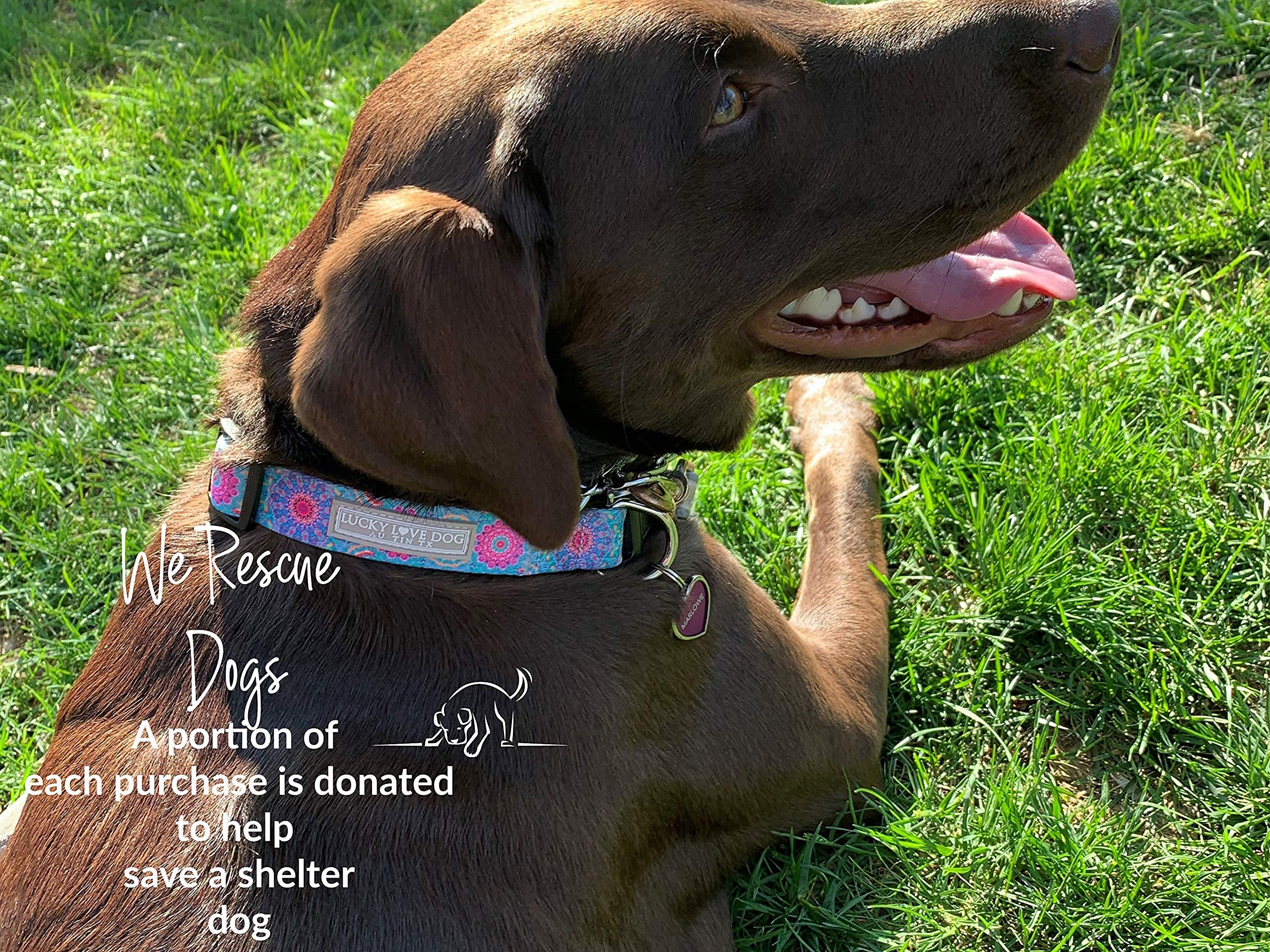 Lucky Love Dog, Boho Chic Dog Collar For Girl Boy Dogs, Vivid Pink And Turquoise Collar For Dogs, Comfortable, Soft, Cute Collars - (X-Small, Clara Collar)