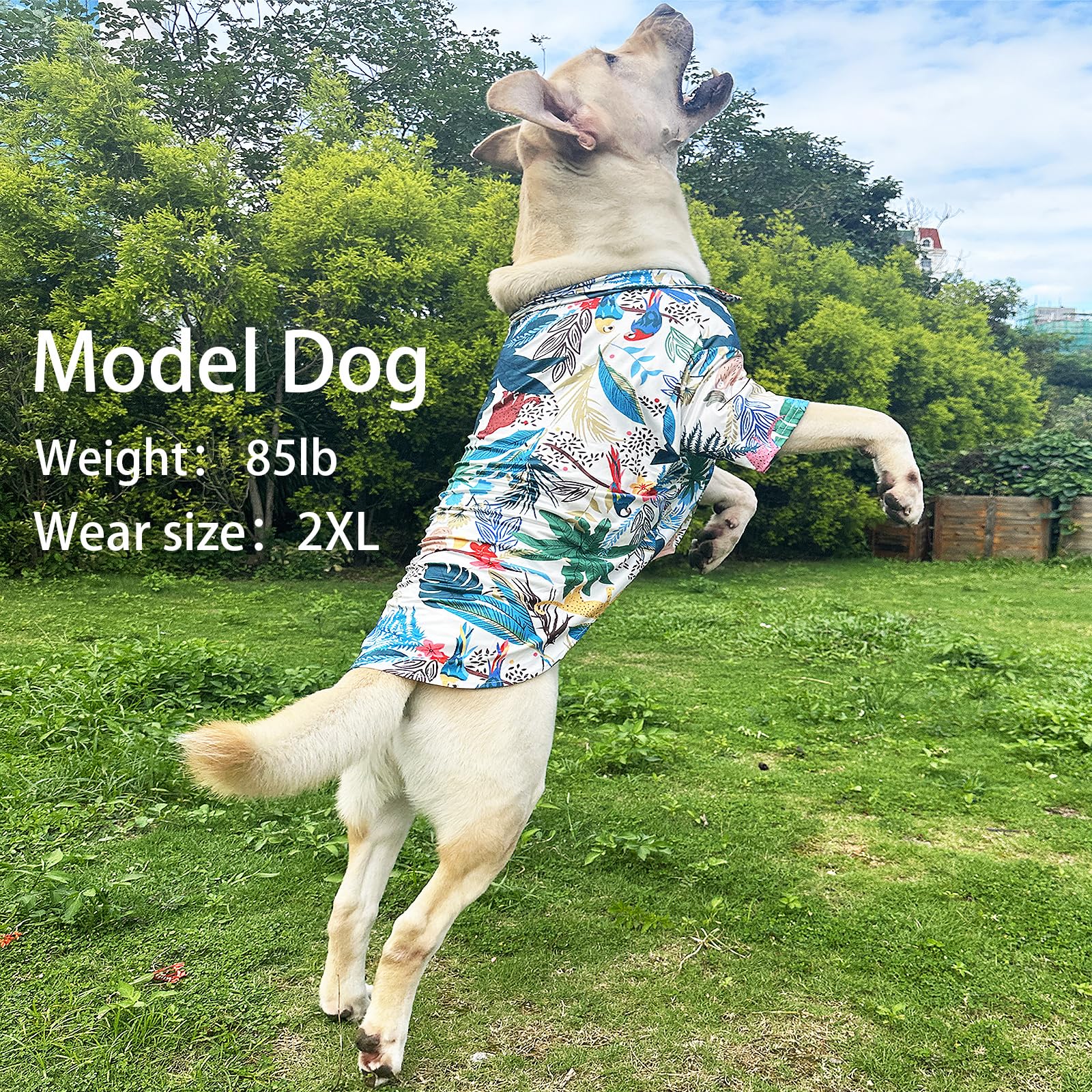 Hawaii Shirt For Dogs - Colorful Leaf Prints Polo T-Shirt, Breathable Cool Beach Style Summer Clothes For Large Dog Boys And Gir