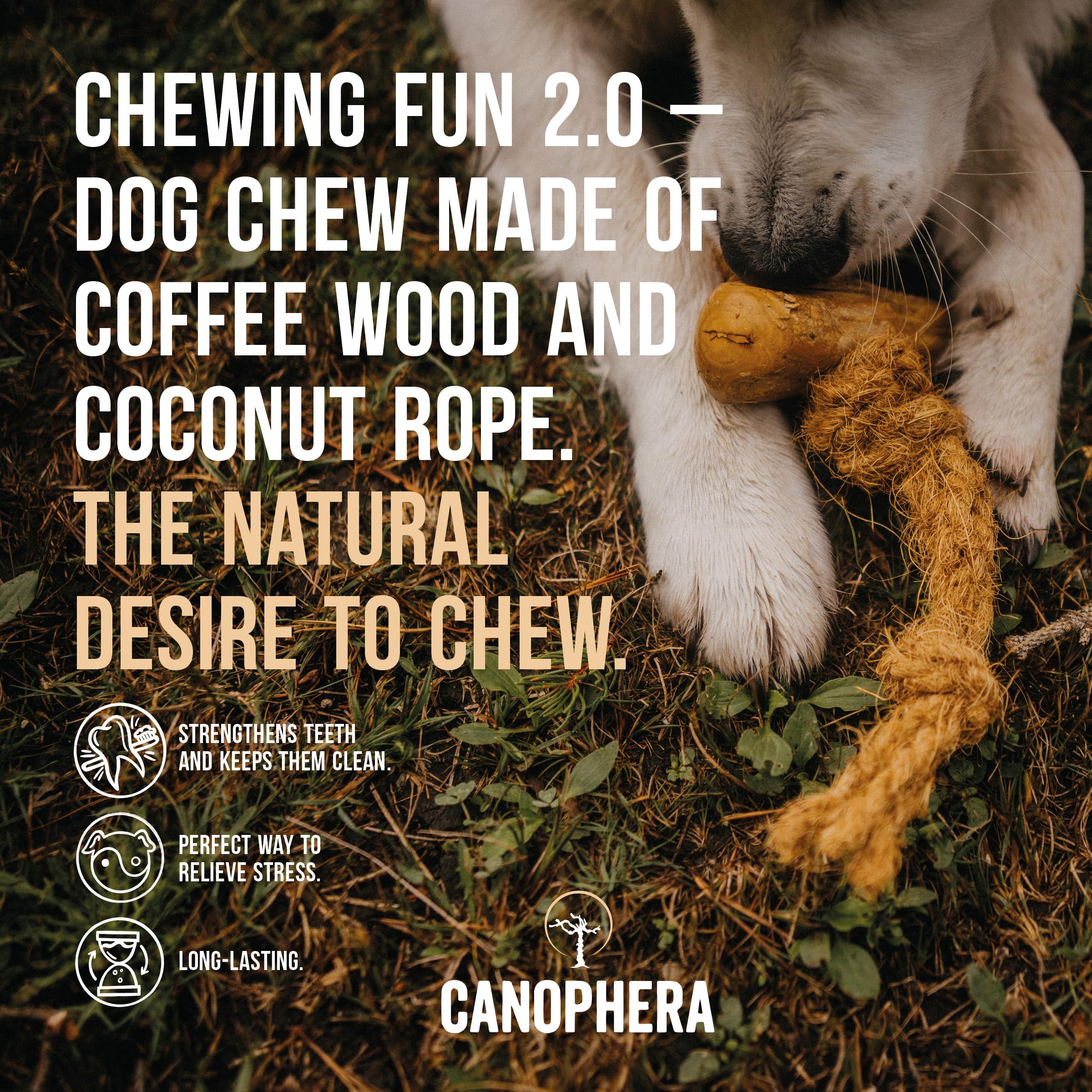 Canophera Dog Chew Coffee Wood And Coconut Rope Toy For Healthy Teeth And Gums Size Small - All Dog Breeds