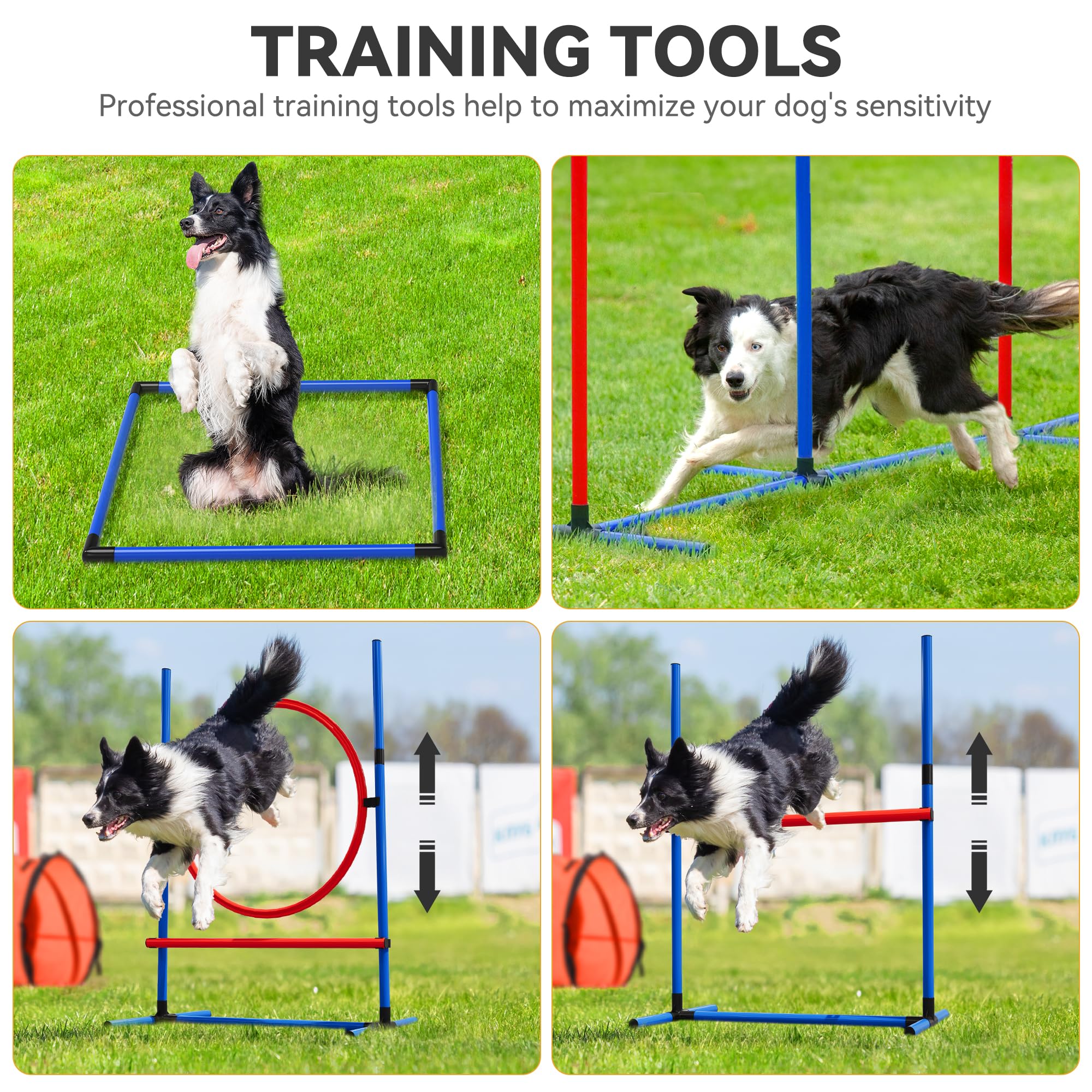 Yitahome Dog Agility Training Equipments: Includes Flirt Pole Accessorie, 3 Flying Discs, 1 Agility Tunnel, 2 Jumps, 6 Weave Pol