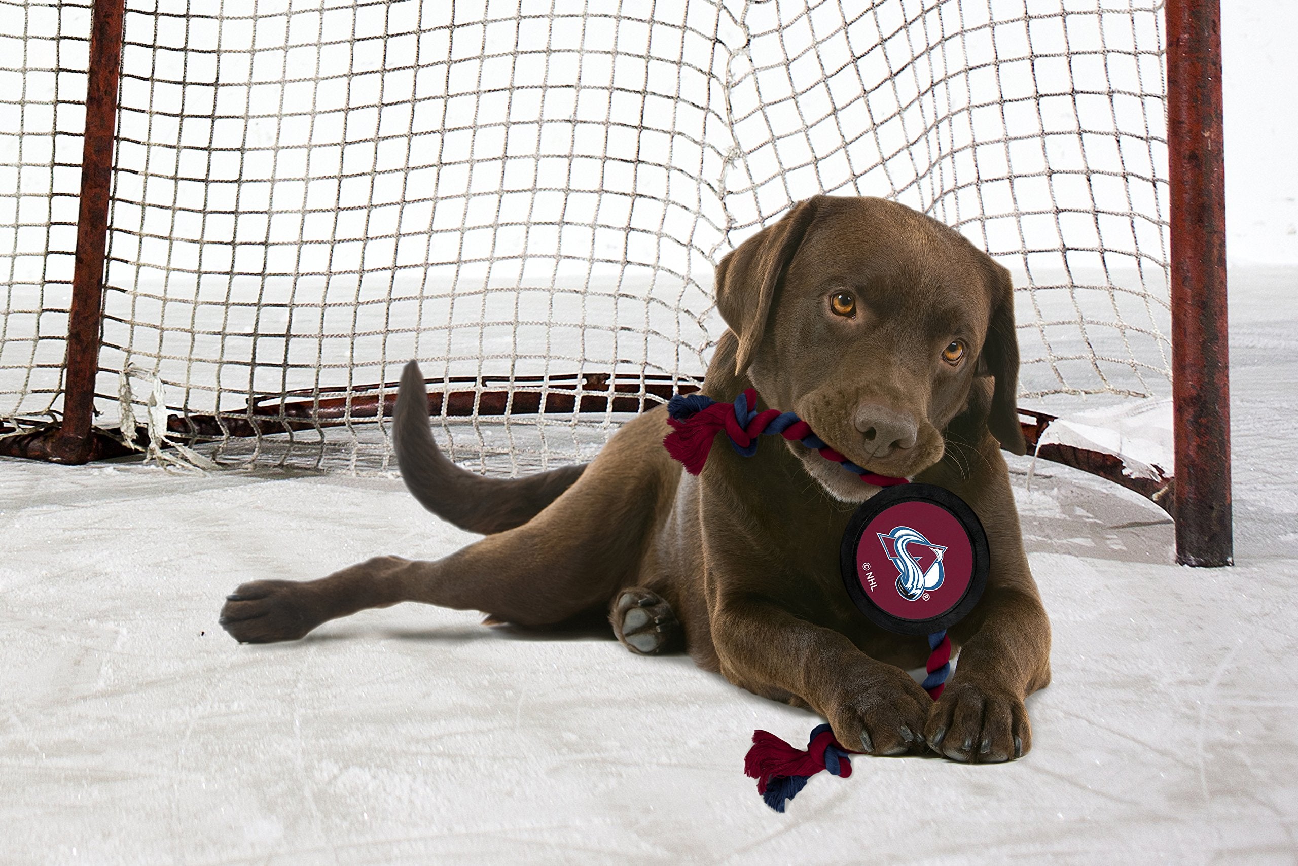 Pets First Dog Rubber Toy With Heavy-Duty Rope Tug, Nhl Colorado Avalanche Puck Toy For Dogs & Cats - Play Hockey With Your Pet!