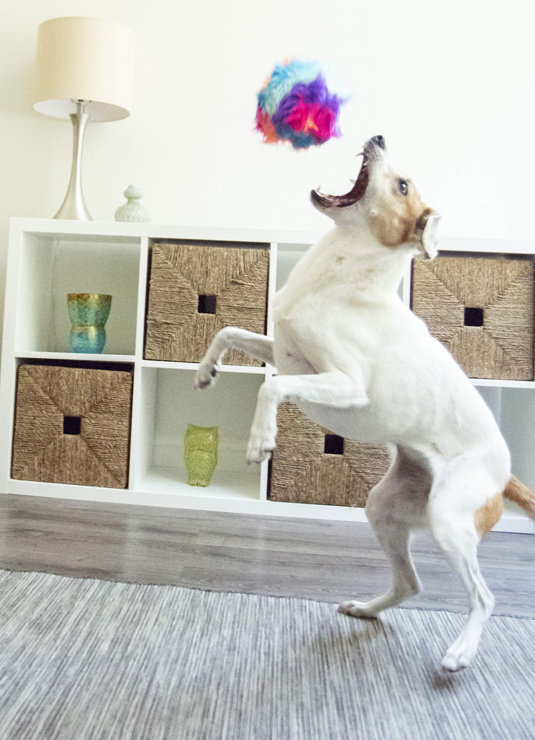 goDog Furballz Squeaky Plush Ball Dog Toy, Chew Guard Technology - Cool Rainbow, Small