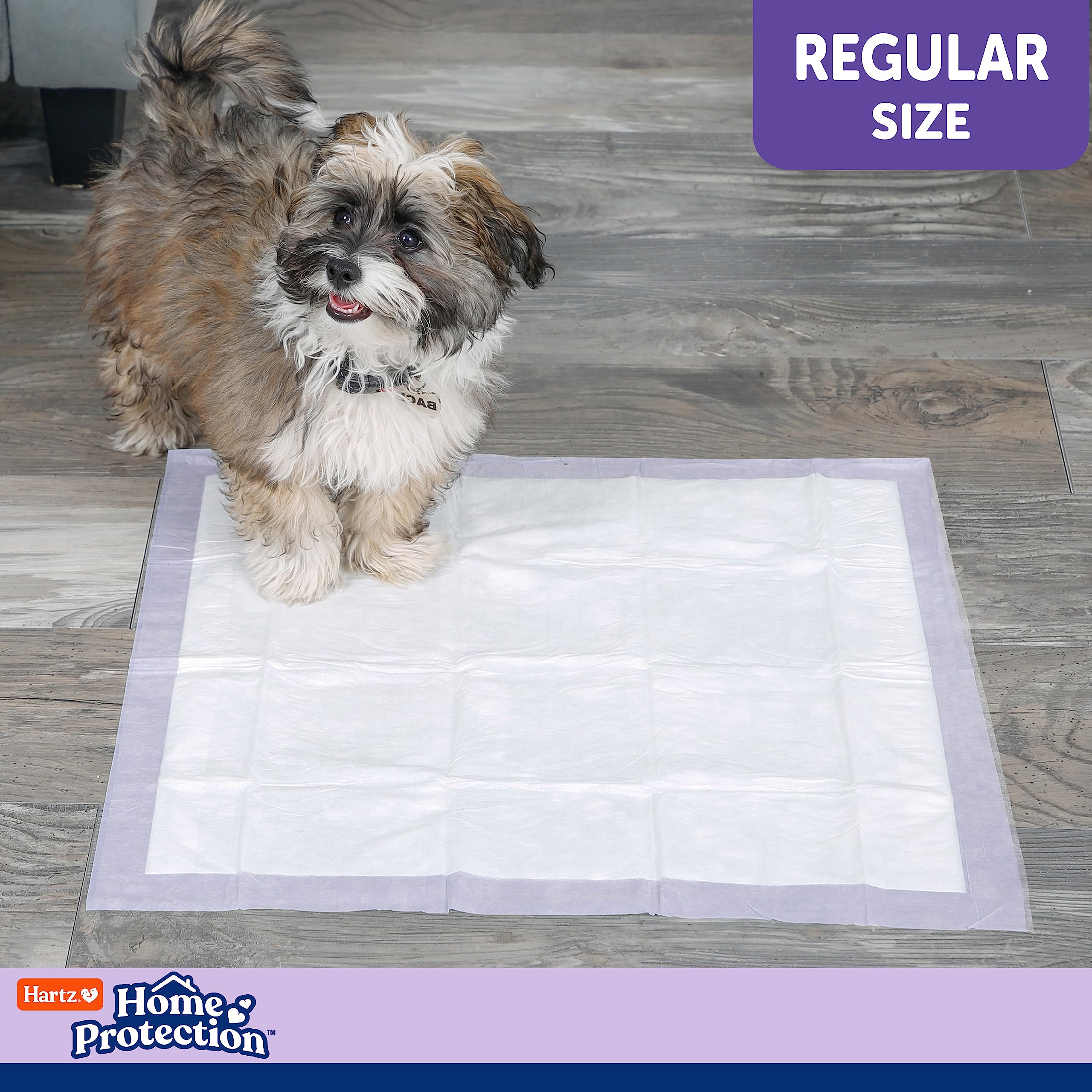 Hartz Home Protection Lavender Scented Dog Pads, 50 Count, Super Absorbent & Won'T Leak, Odor Eliminating