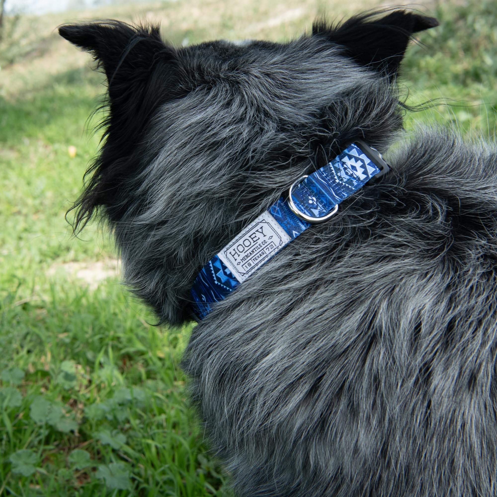 Hooey Nomad Dog Collar, Durable Polyester Webbing Collar With Graphic-Inspired Prints, Ombre Aztec, Medium