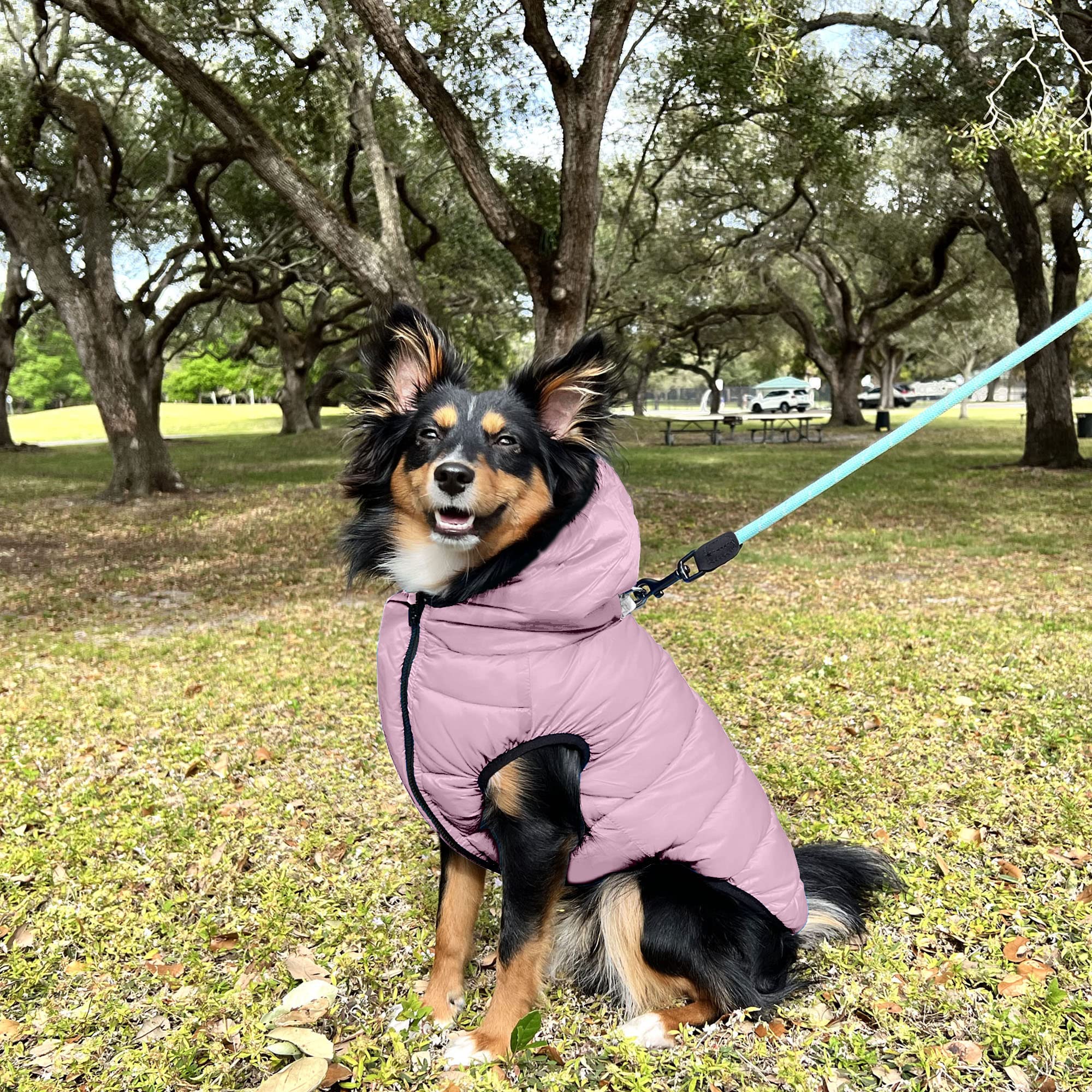 Pawtitas Reversible Dog Windproof Jacket | Water Resistant | Dog Coat For Winter To Keep Your Puppy Warm For Cold Weather Jacket | Purple - Grey Up Dog Vest For Large Breed Dogs - Pouch Included