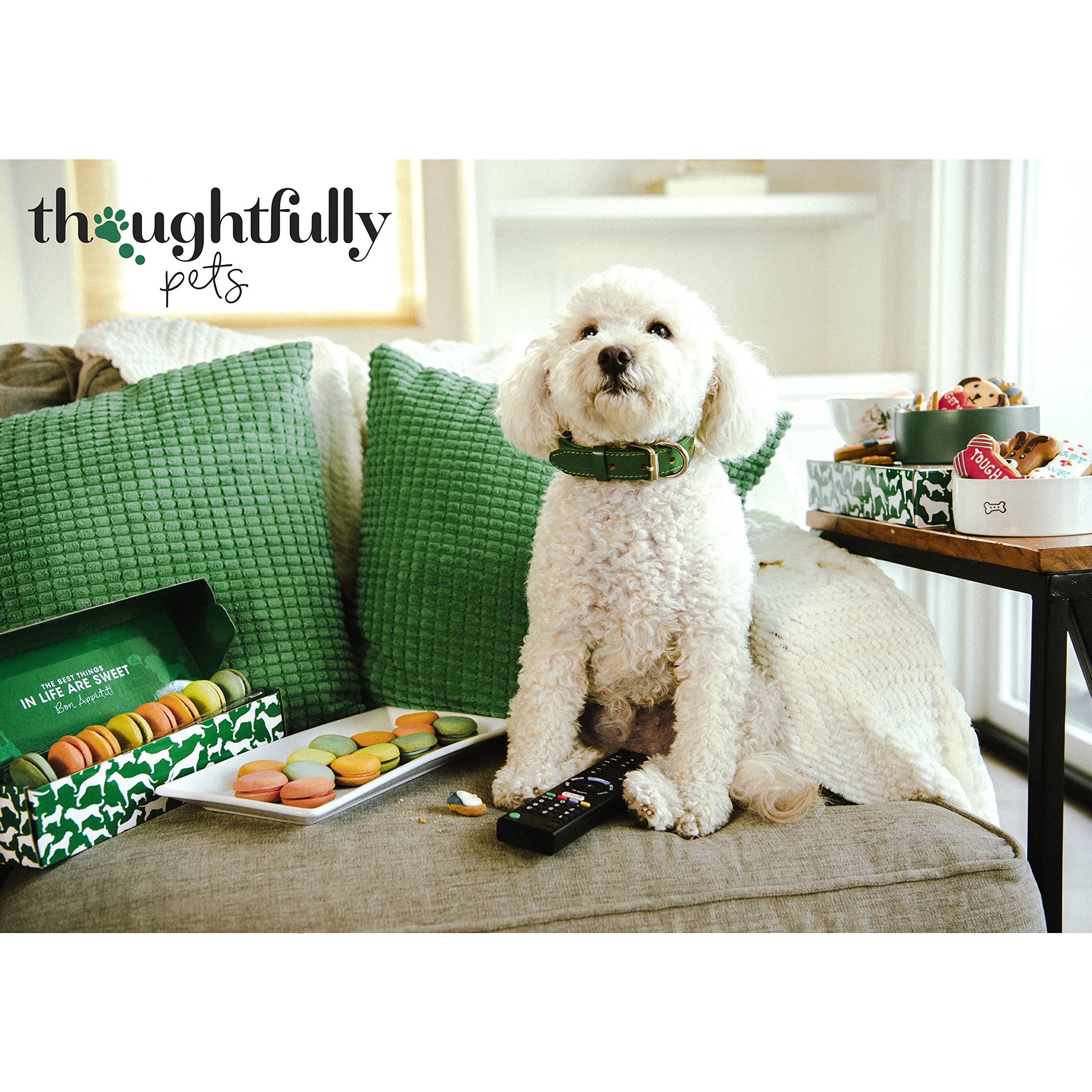 Thoughtfully Pets, Dog Birthday Cookie Gift Set, Hand Decorated Crunchy Treats in Bone Shapes, Great for Birthdays, Set of 8 (8