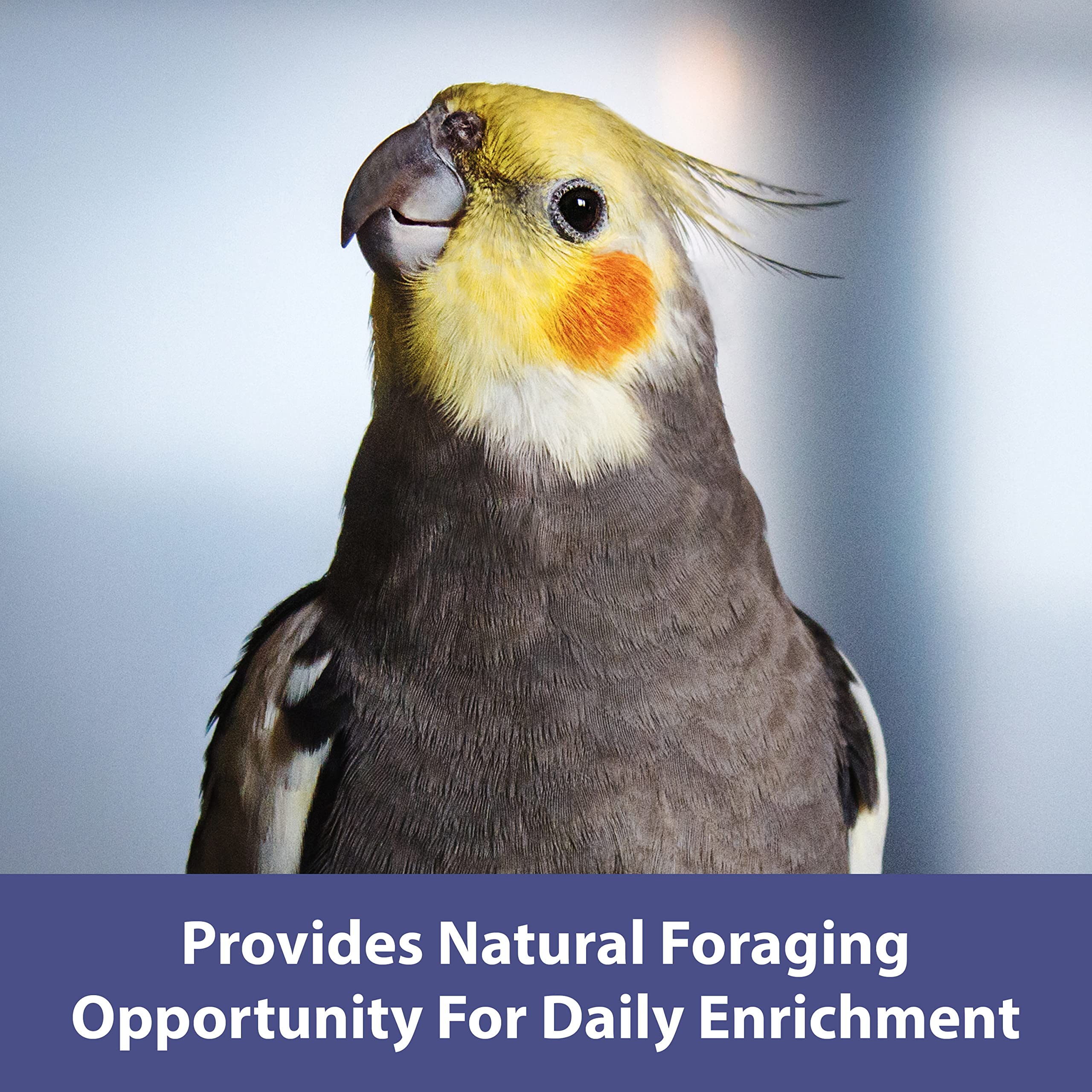 Kaytee Spray Millet Treat for Pet Birds, 7 Ounce, Cotton Material, Pack of 1