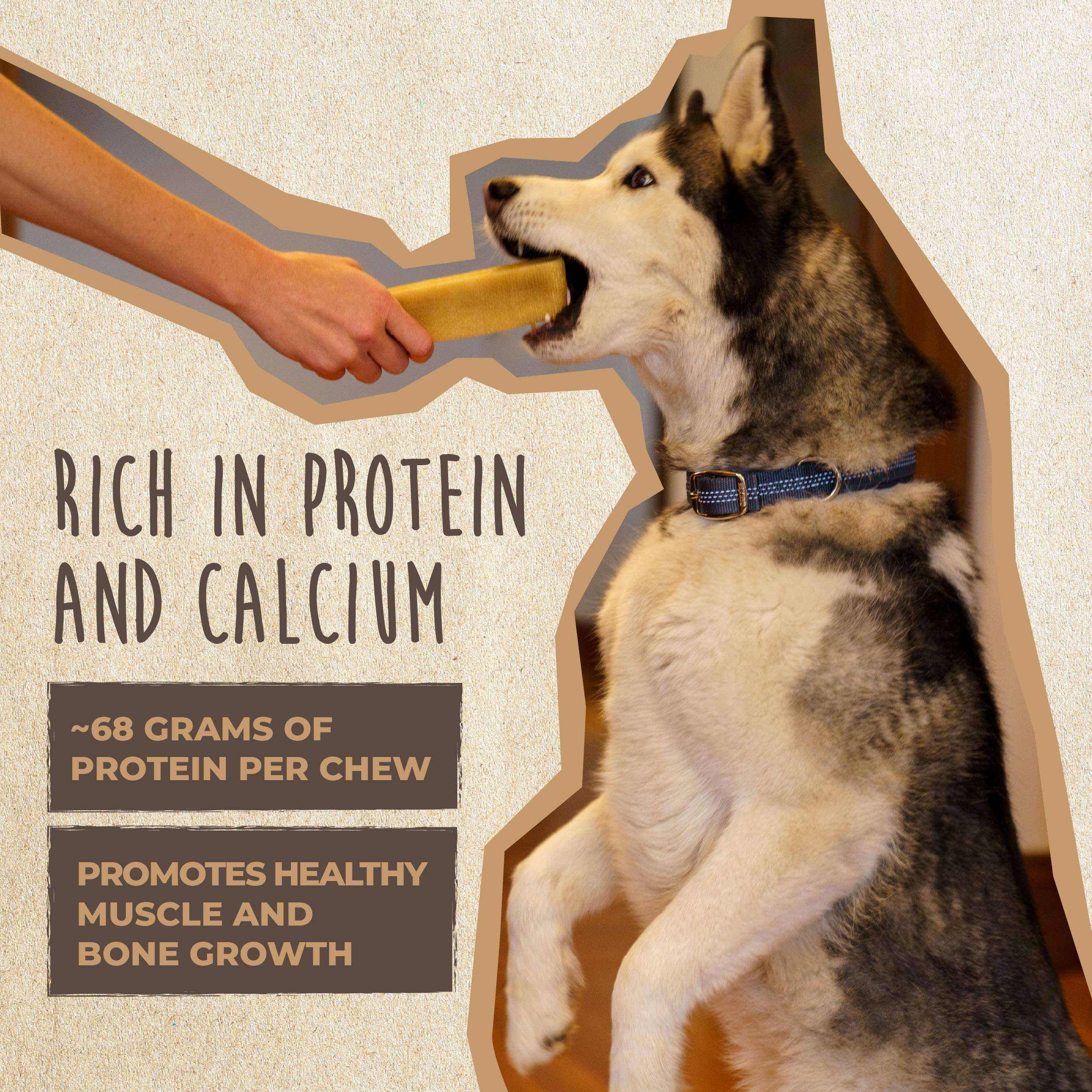 Mighty Paw Yak Cheese Dog Chews - All-Natural Treats for Dogs, High Protein Treat with 68 Grams of Protein Per Chew, Delicious a