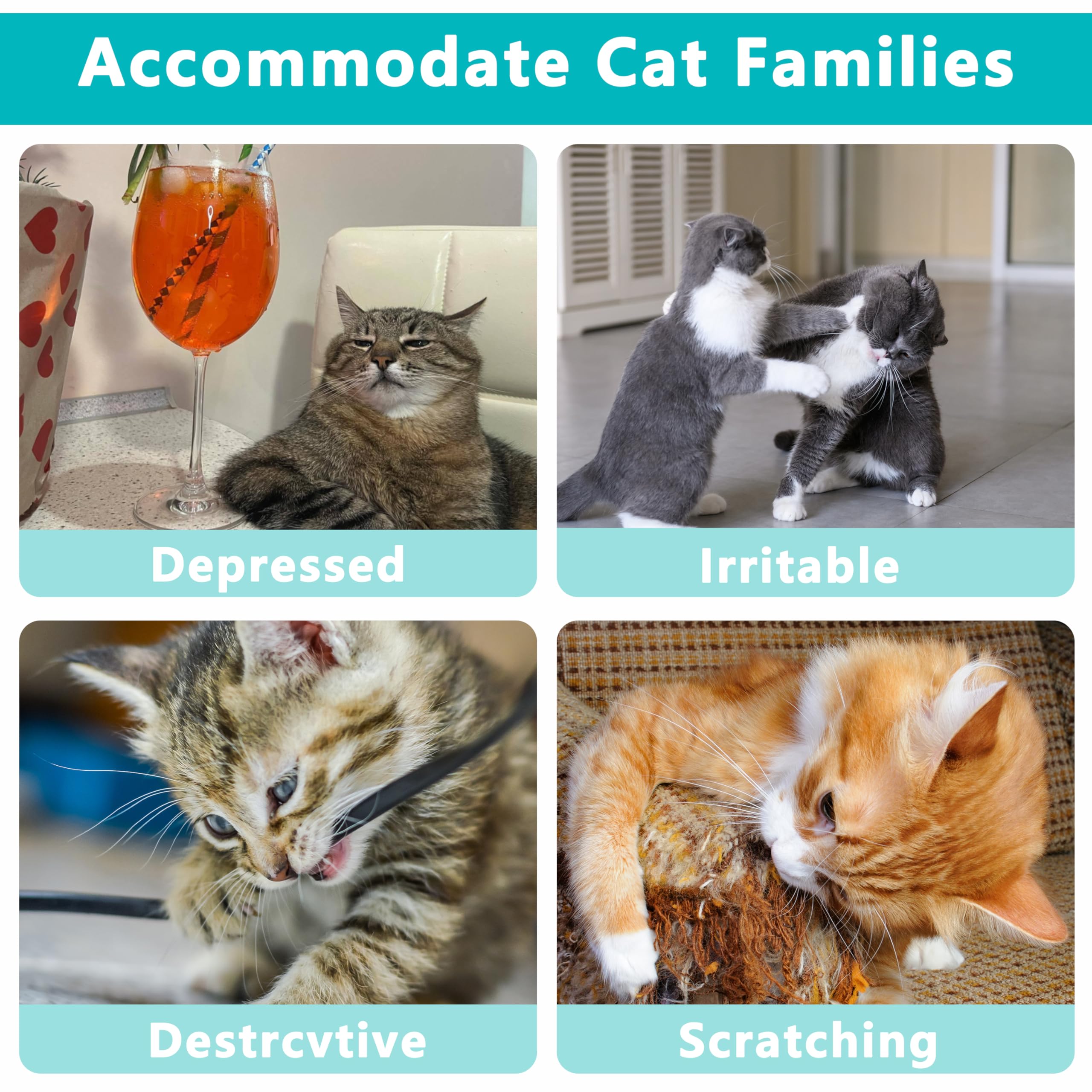 Maiiu 5Pcs Catnip Toys, Fun Cat Toys, Bite Resistant, Indoor Cartoon Cat Toys For Cats, Cat Chew Toys